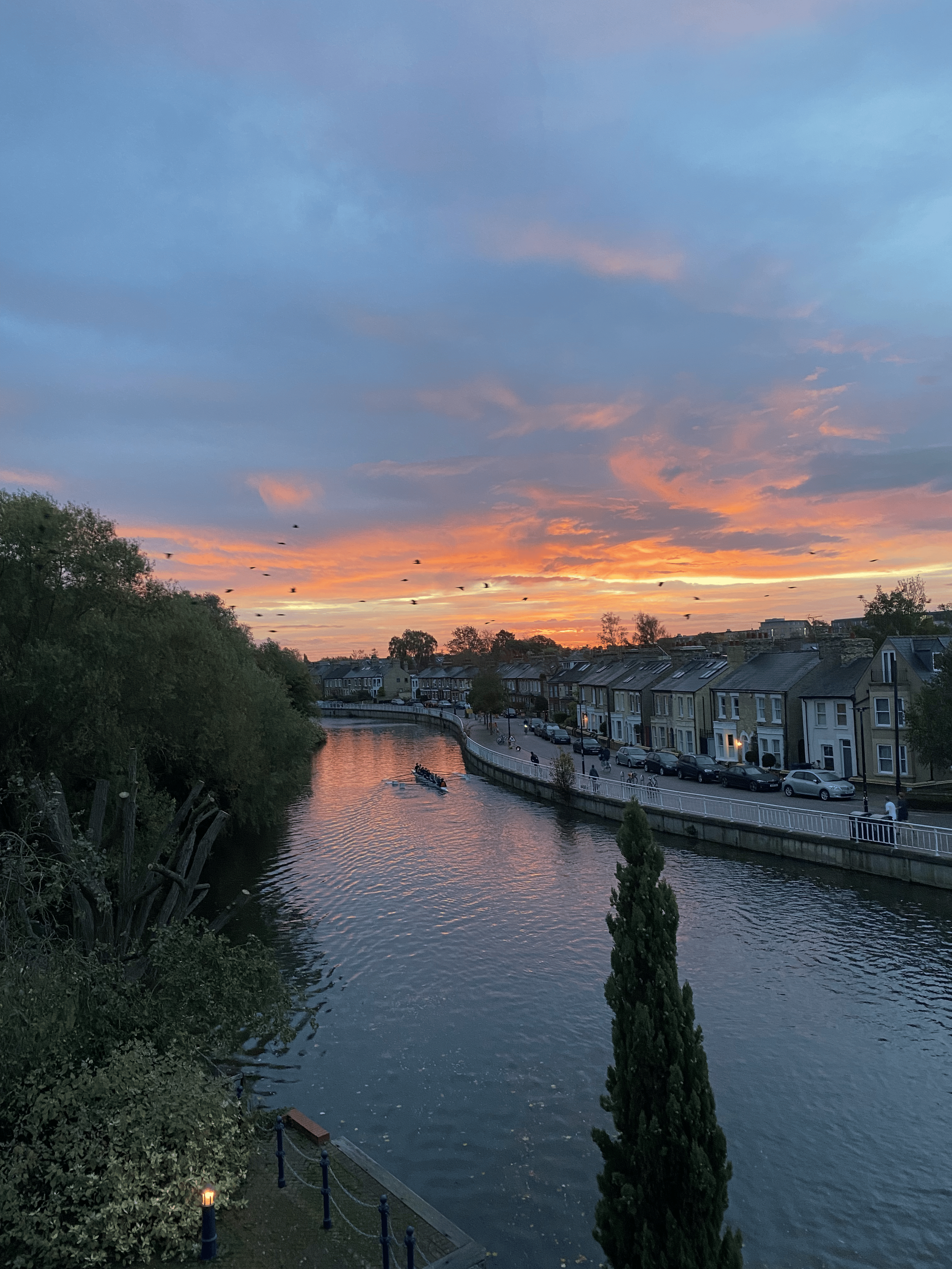 A canal at sunset with a row of houses on the right, trees on the left, and birds flying overhead.