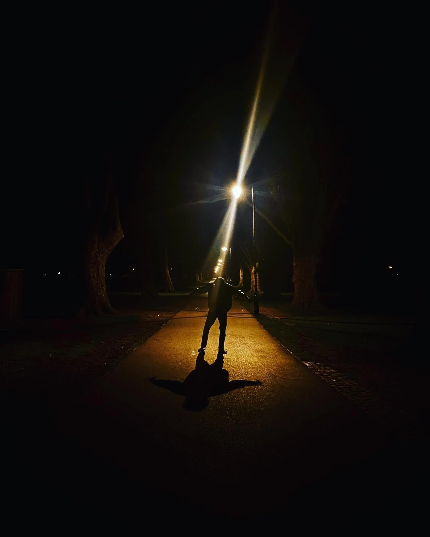 A person stands on a sidewalk at night with street lamps casting light and shadows, trees lining the street, and the person's shadow visible on the ground.