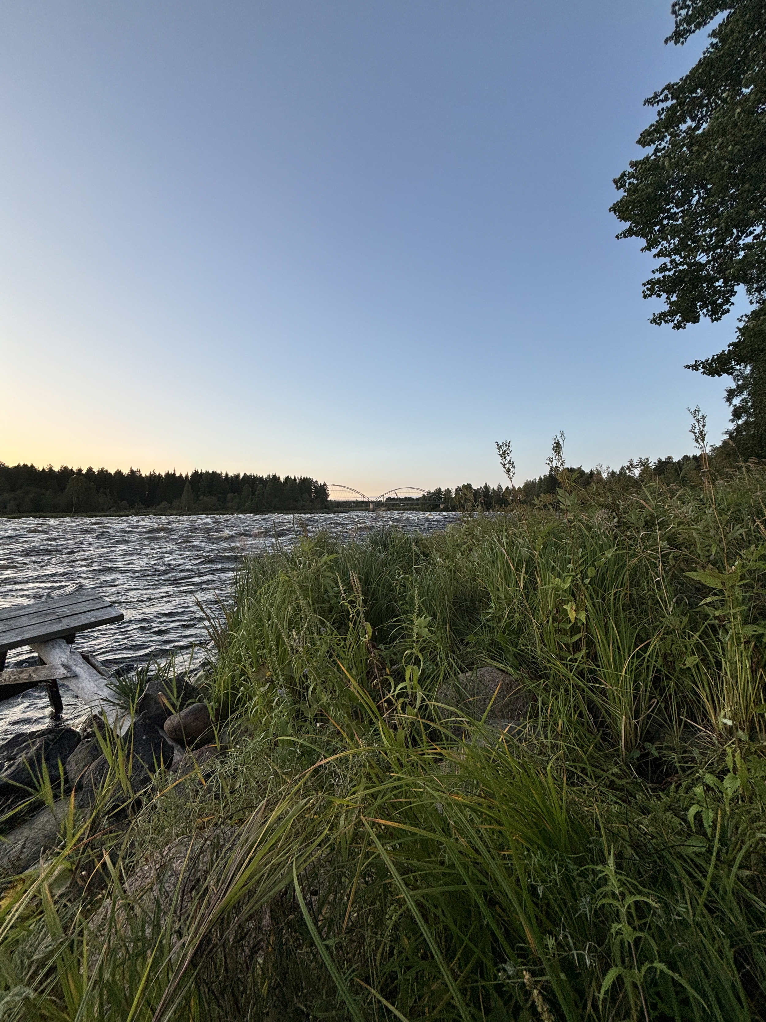 A riverside view at sunset with tall grass and trees, a bridge in the distance, and a clear sky.