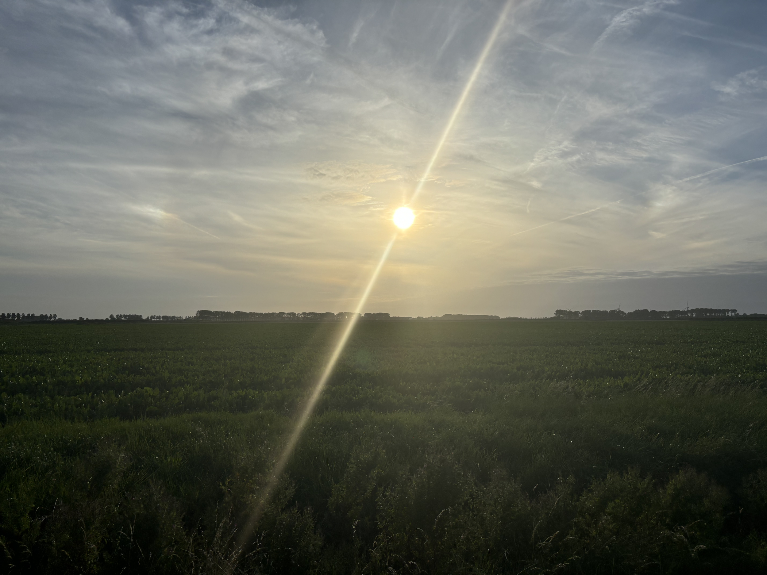 Sun shining through a partly cloudy sky over a green field with a distant tree line.