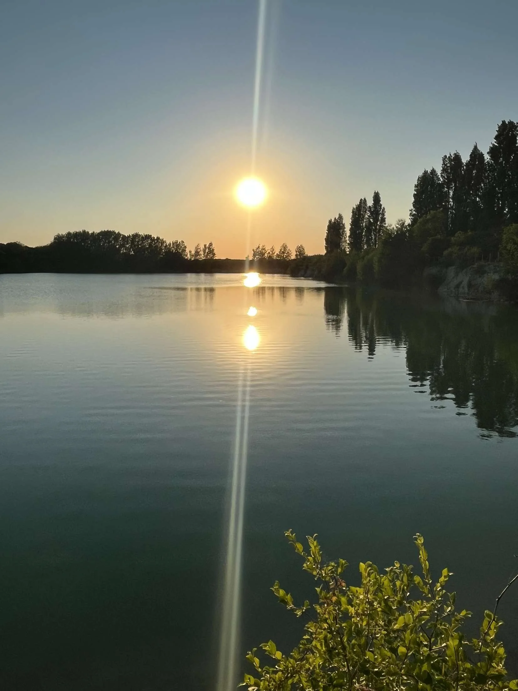 Sunset over a calm body of water with trees on the horizon and greenery in the foreground.