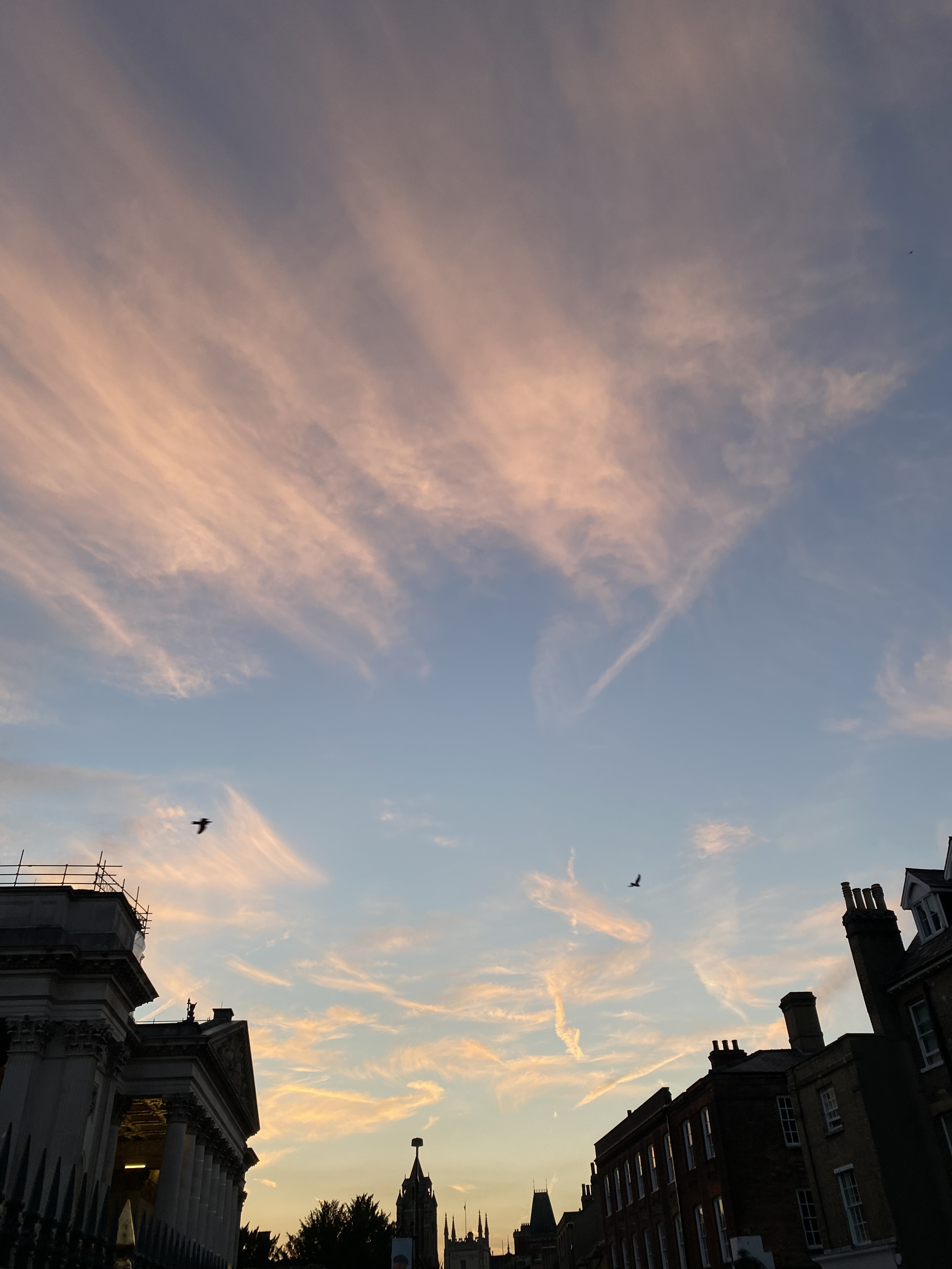 Cityscape at sunset with a sky filled with pink and blue clouds, buildings with chimneys, and birds flying in the sky.