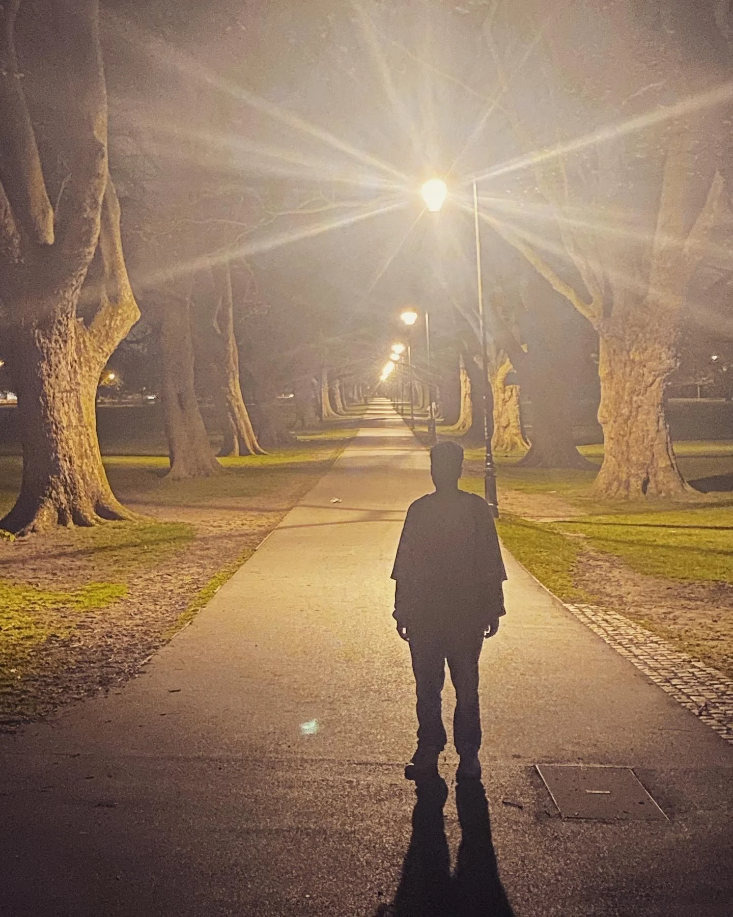 A person walking along a sidewalk at night under streetlights, with large trees lining the path.