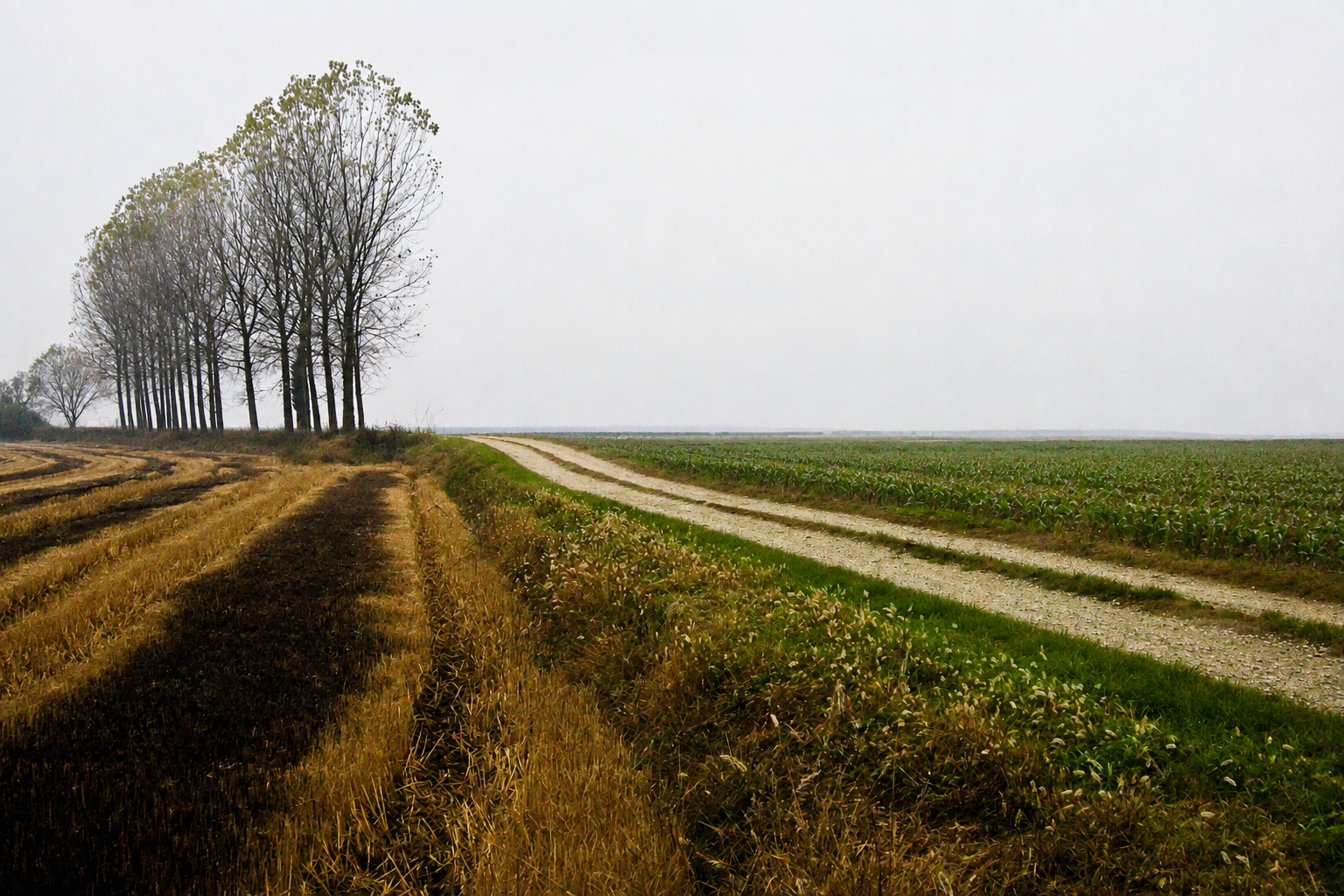 Why it Matters Under Copyright Law Whether a Collaboration is a Joint or Composite Work