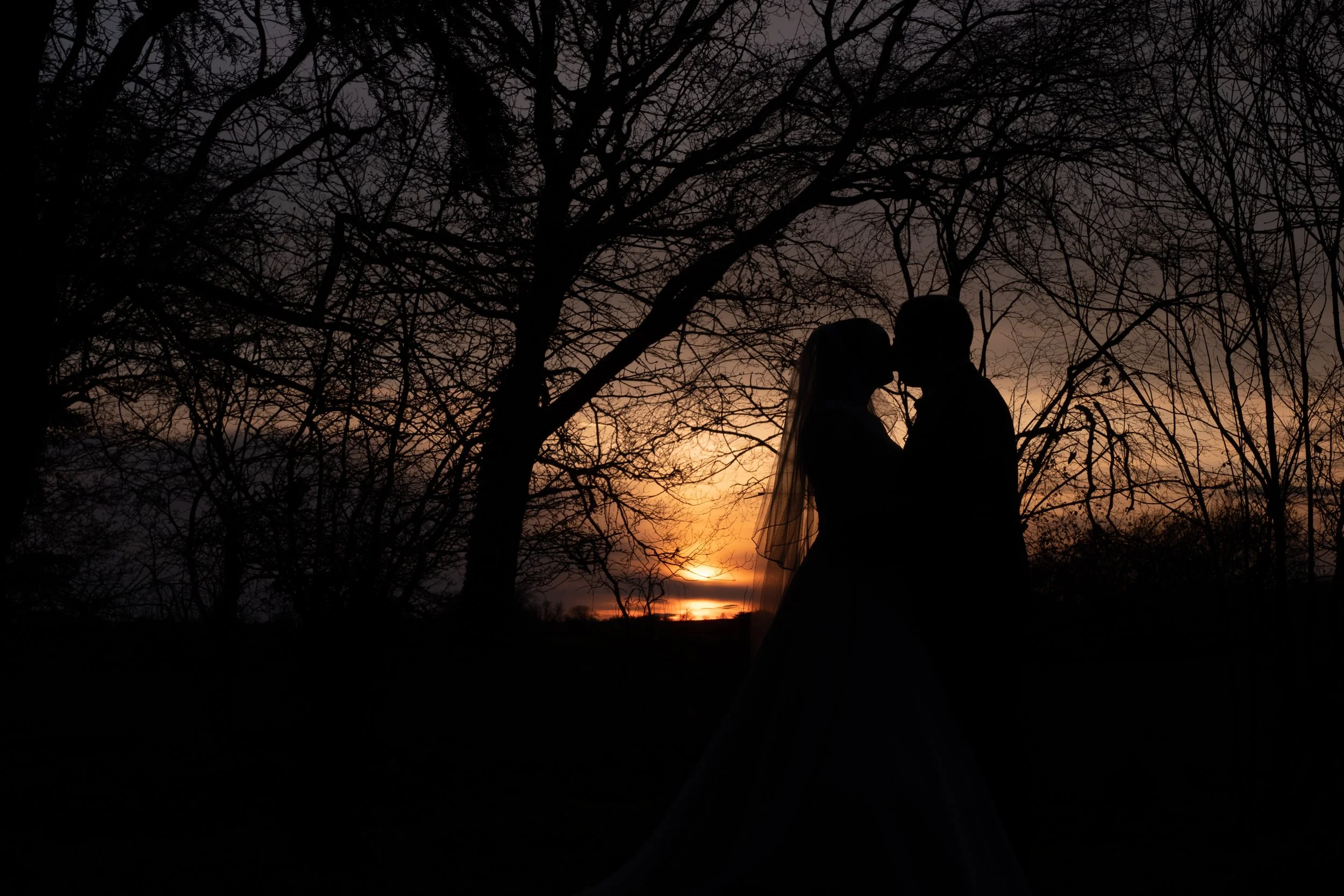 Silhouette of a couple kissing in front of a sunset with bare trees in the background.