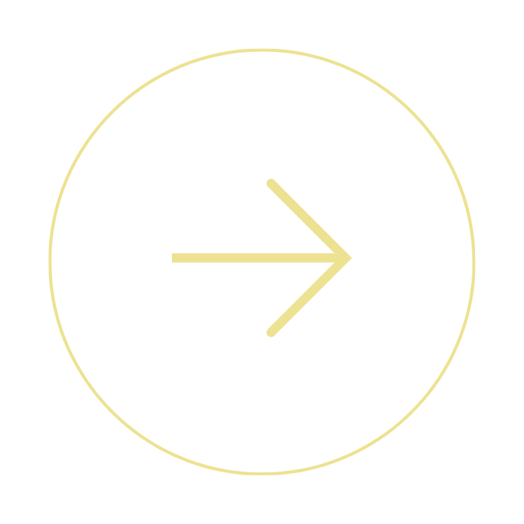 yellow arrow in a circle