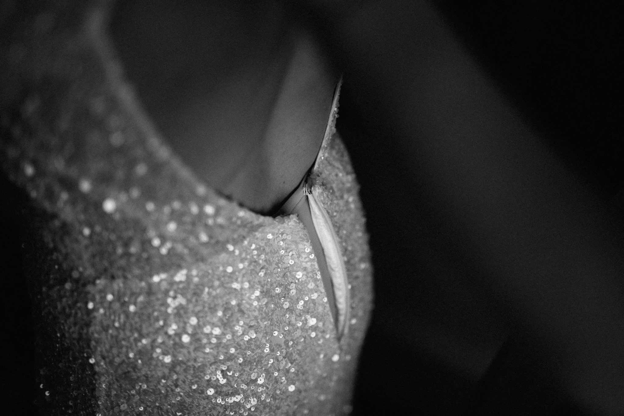  Back of bride’s dress 