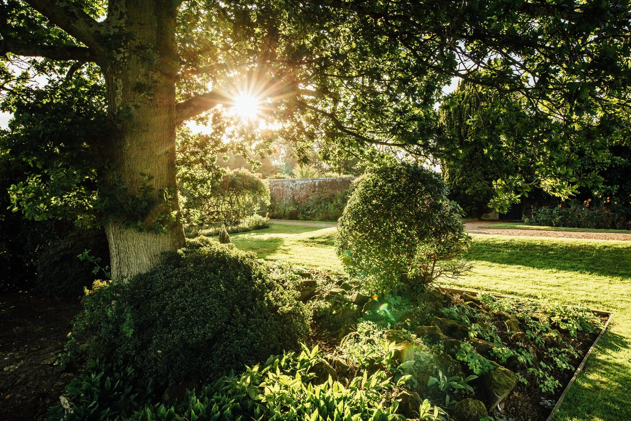  Sunshine coming through the tress at  Wadhurst castle wedding venue 