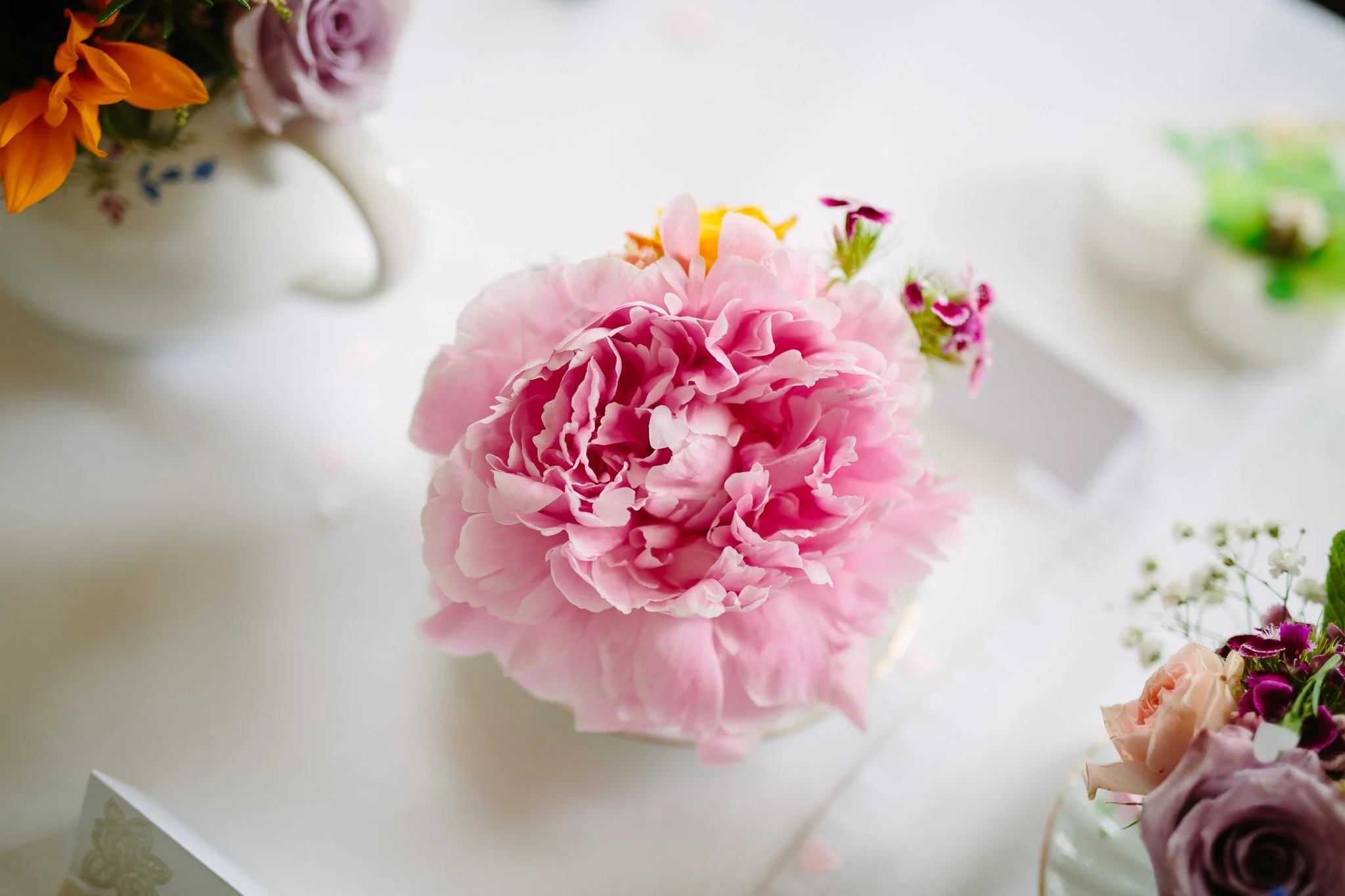  A pink flower 