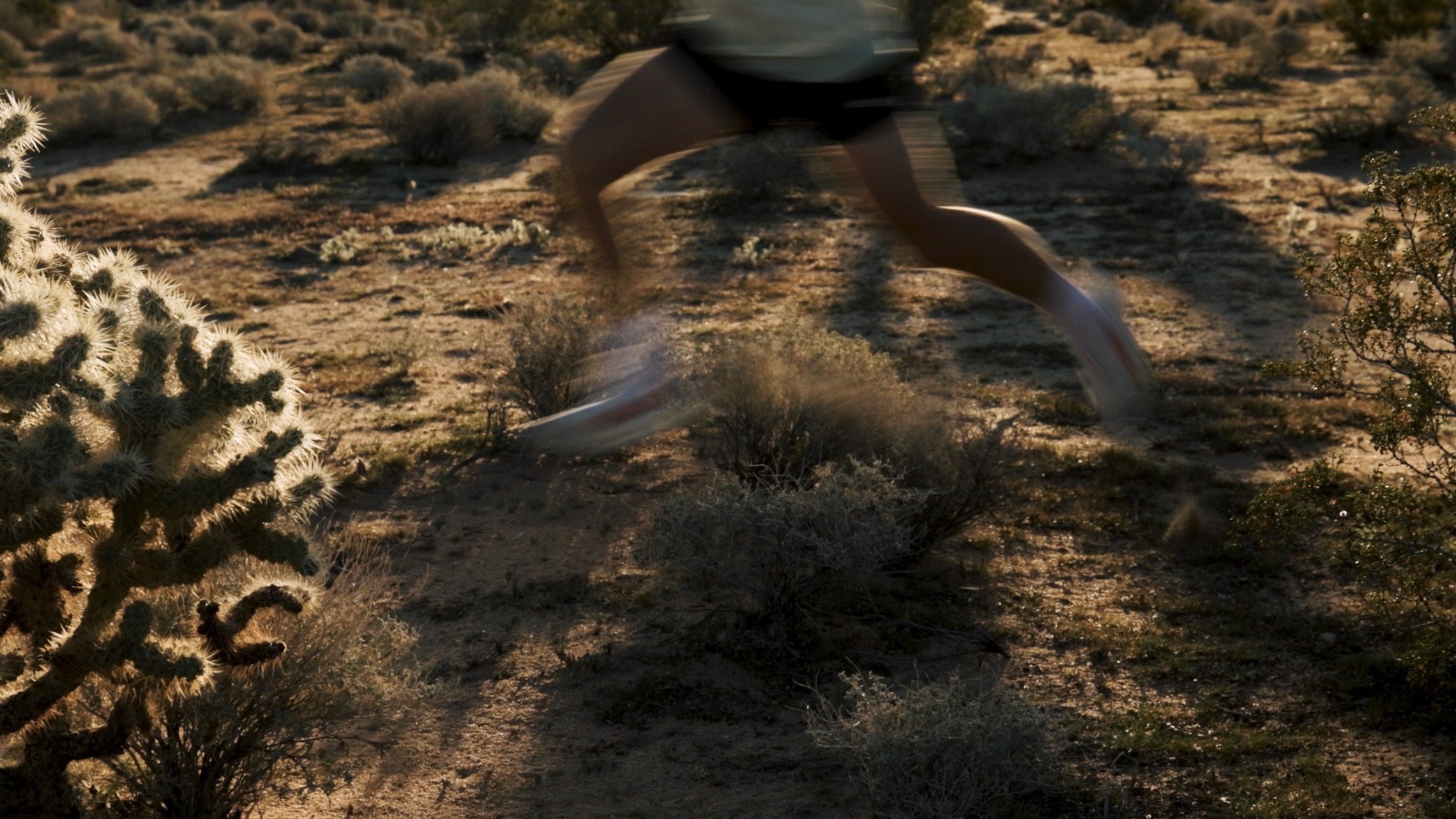 Blurred image of a person running through a desert landscape with cacti and bushes, during sunset or sunrise.