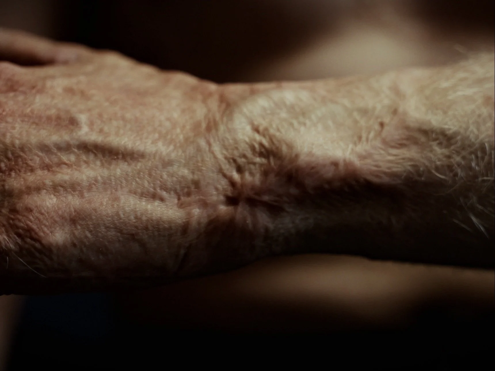Close-up of human skin with fine hair and wrinkles.