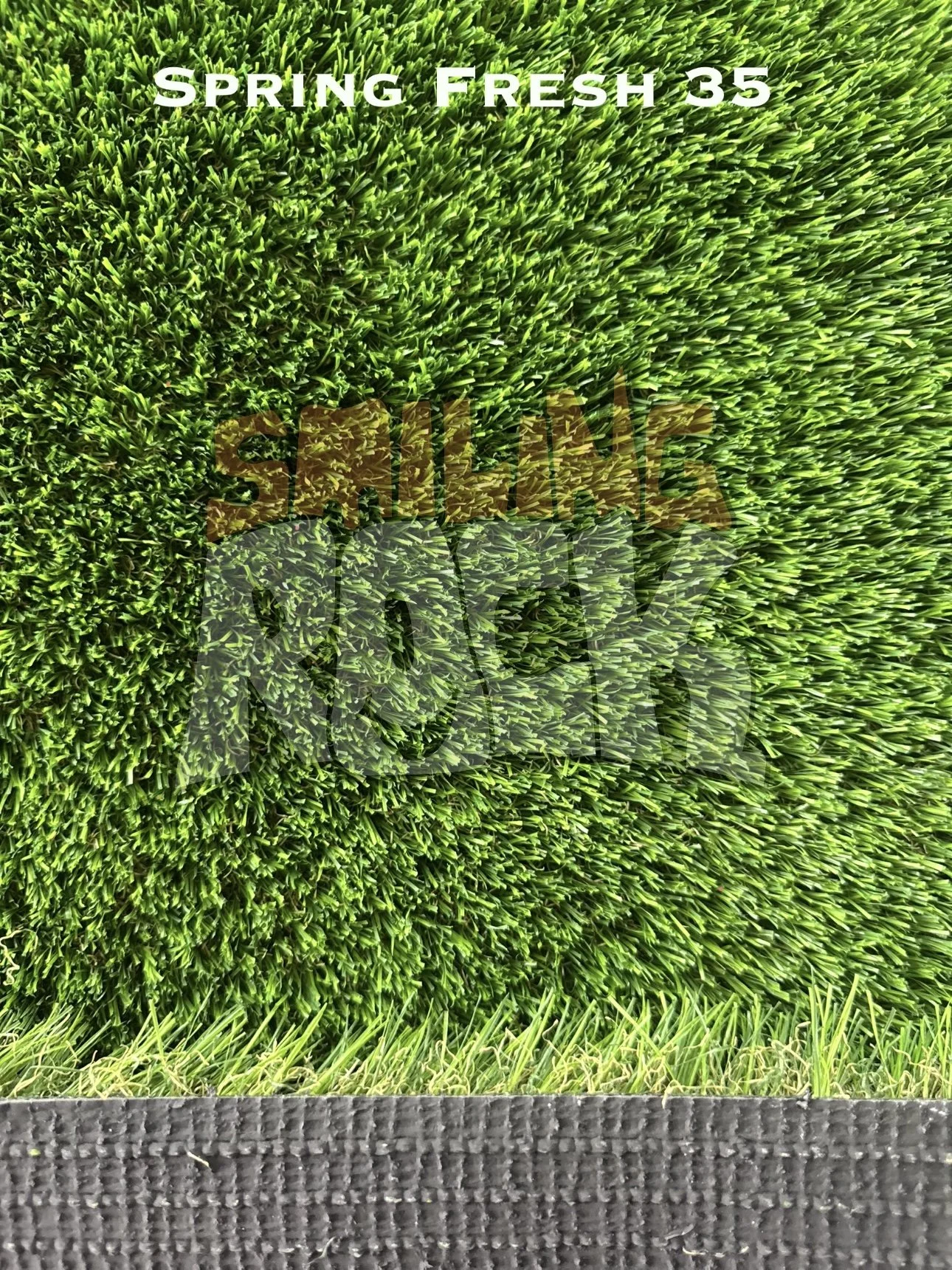 Spring Fresh 35
