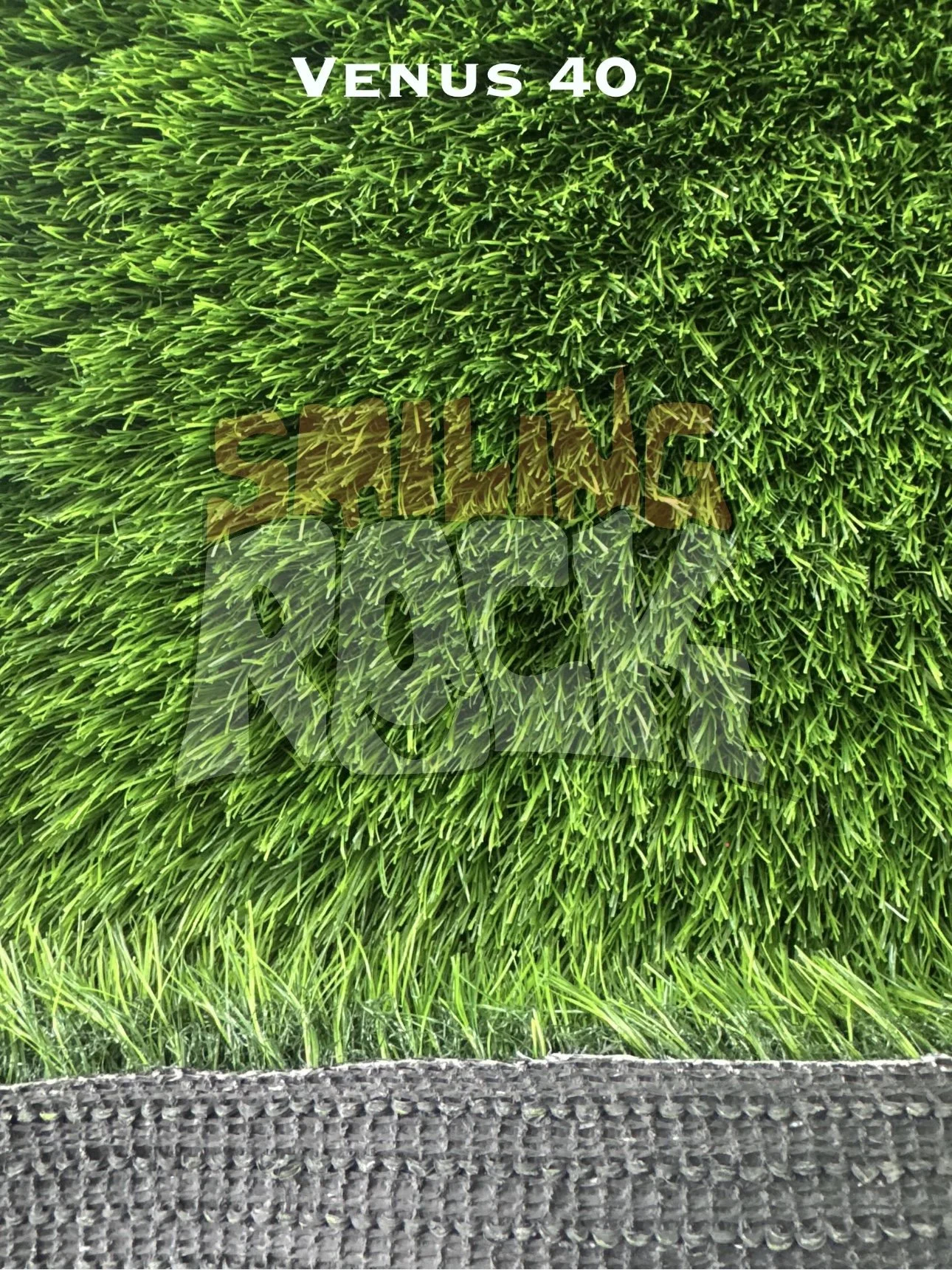 Venus 40