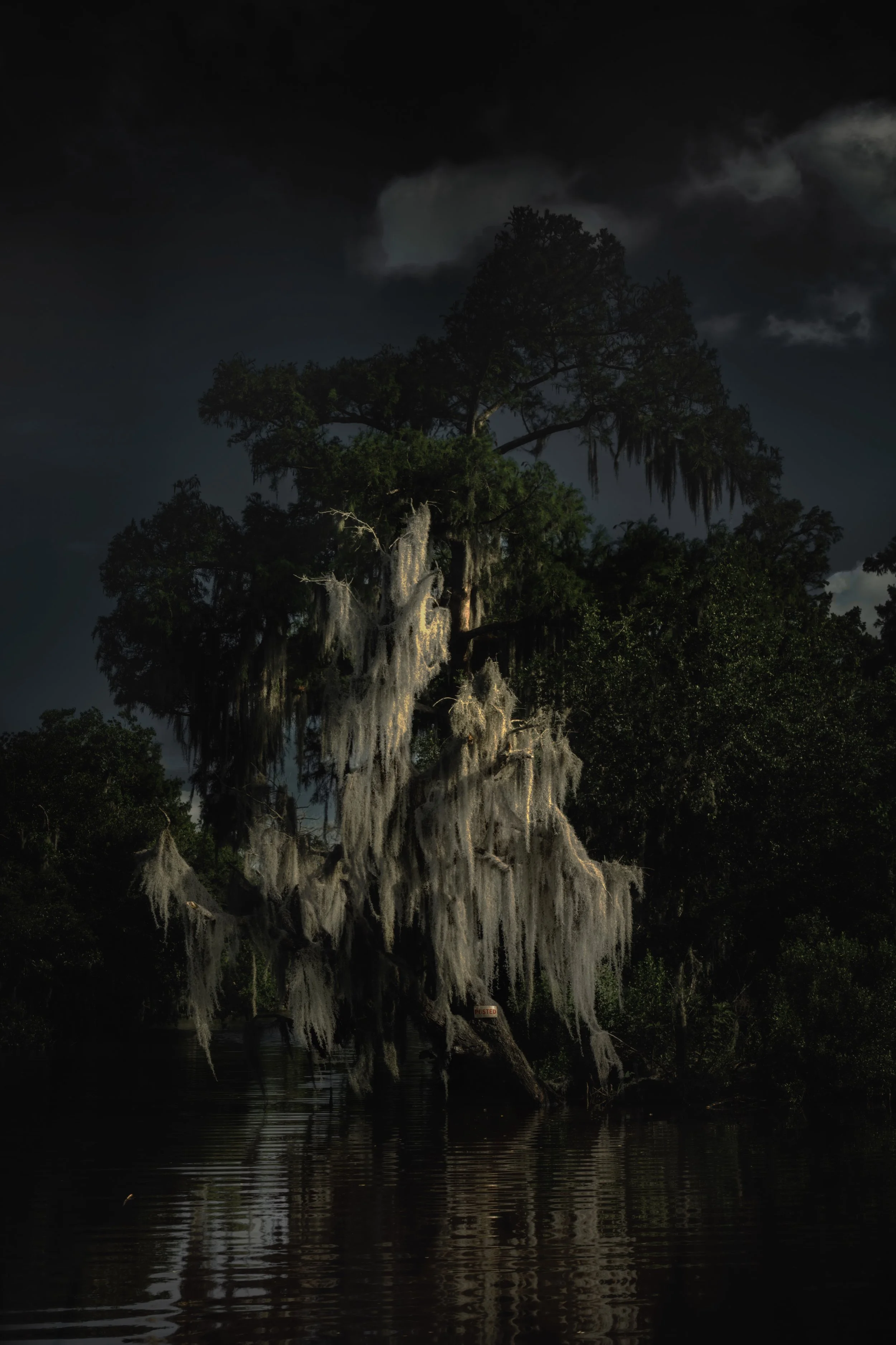 Louisiana Bayou, 26