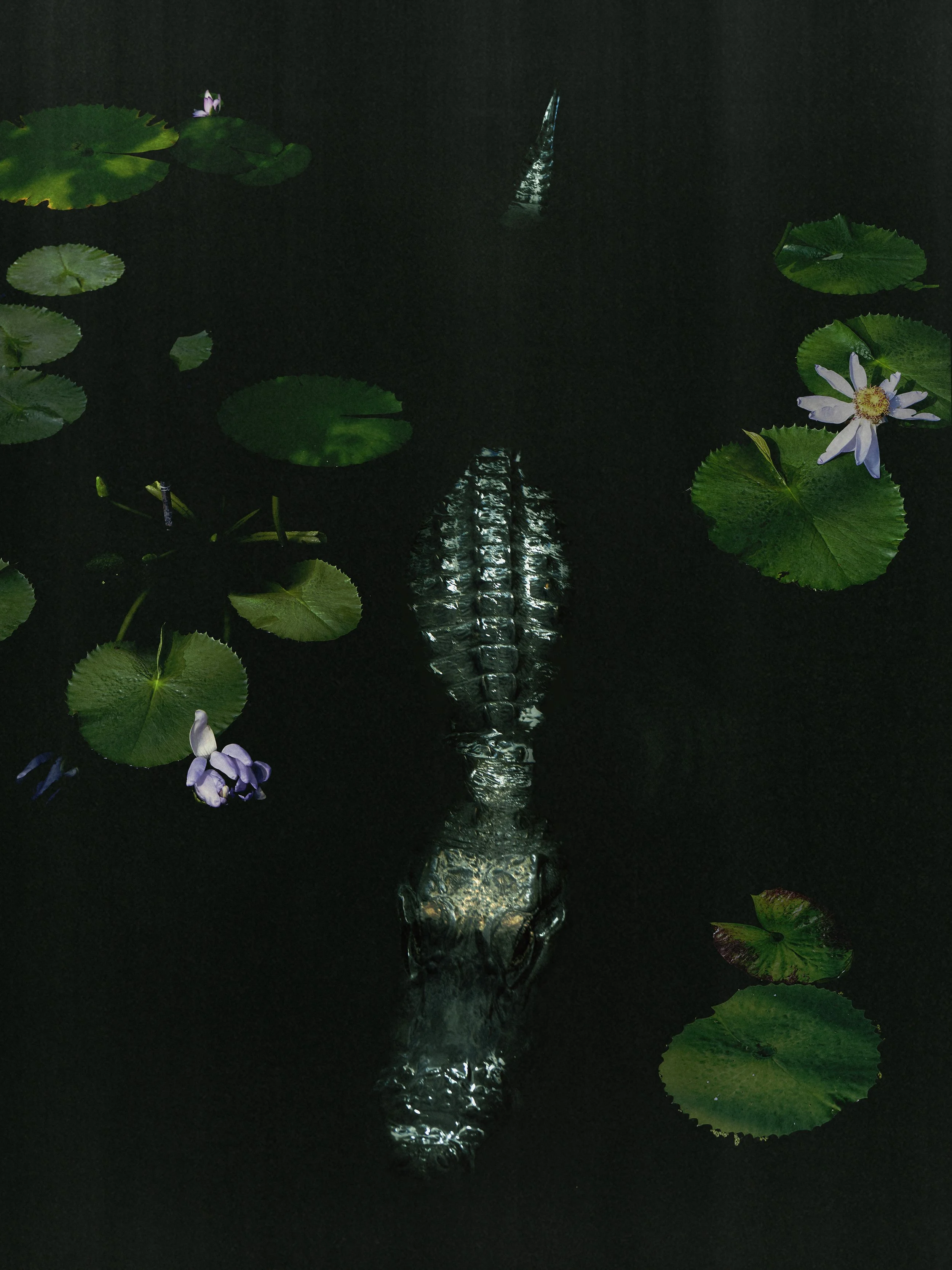 Under the Flower Moon, 26