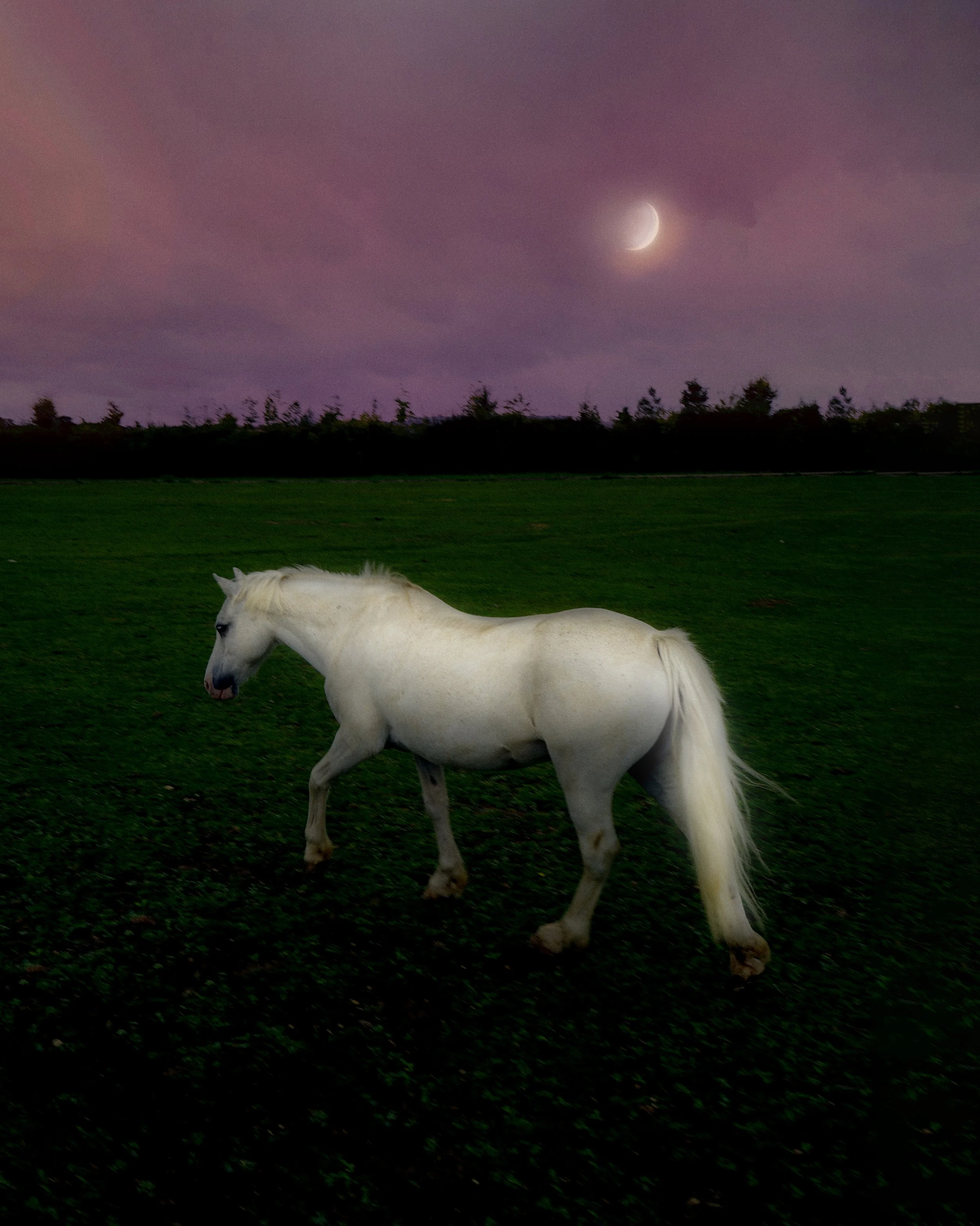 Twilight Princess, 25