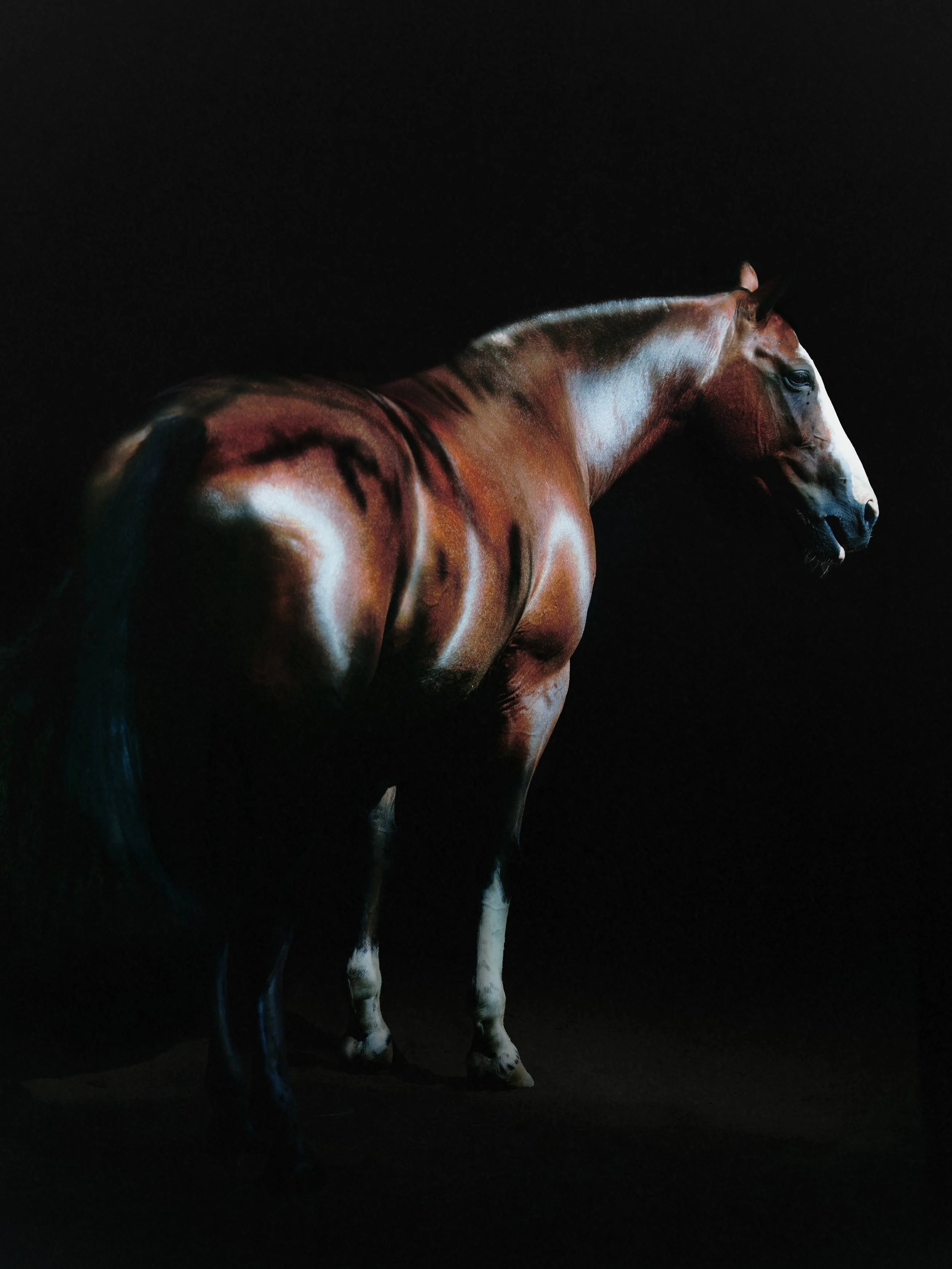 Velvet Hide, 26