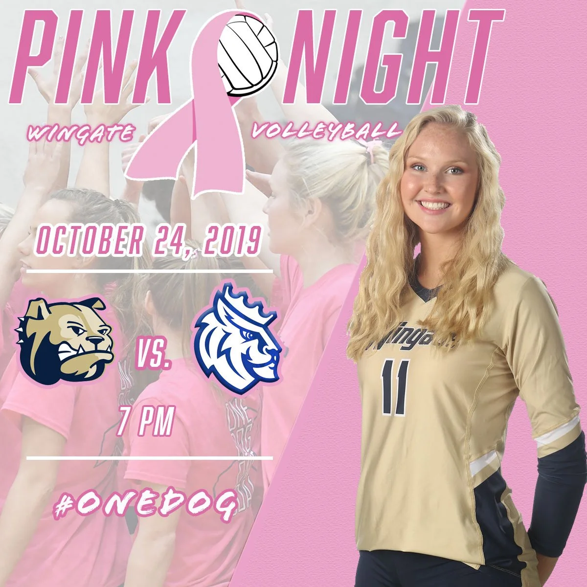 Pink Night Promo.JPG