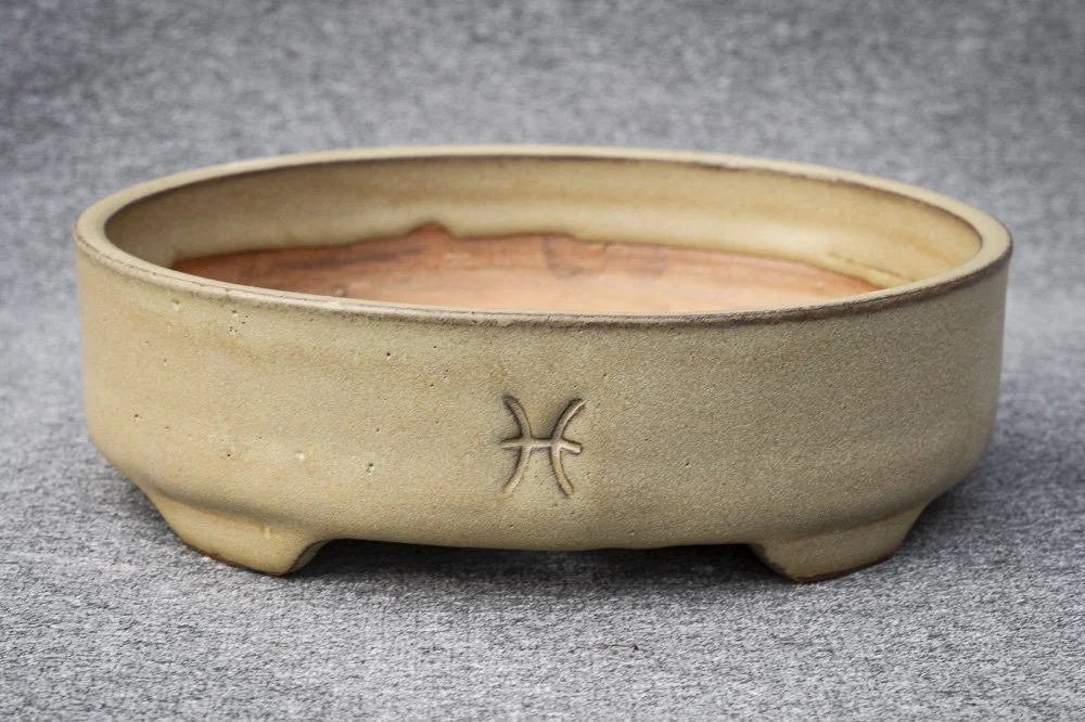 bonsai pots-3.jpg