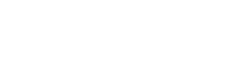 Denier Electric Logo