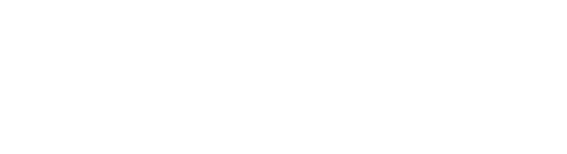 Denier Electric, Co.