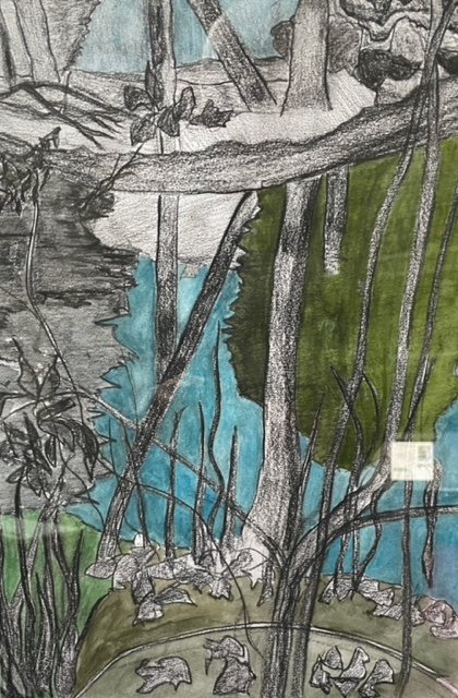 ‘Adderbury lakes’ 
- compressed charcoal, ink and watercolour on paper -