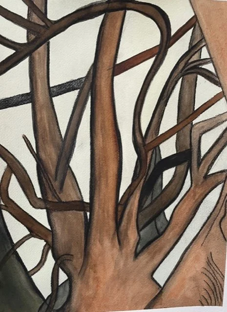 ‘Bare branches’ 
- compressed charcoal and watercolour on paper -