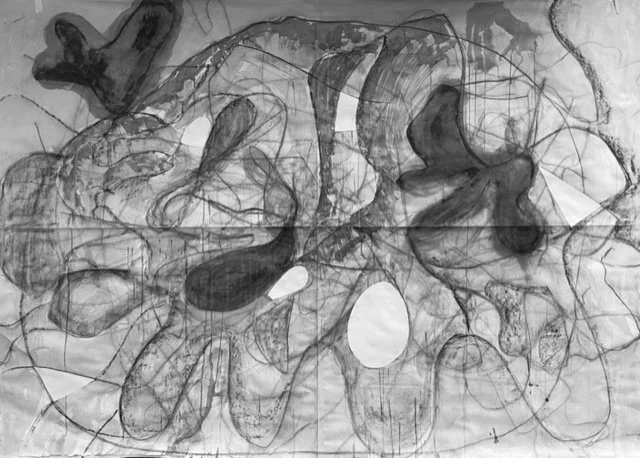 ‘Freeform’ 
- graphite, charcoal and collage on paper -