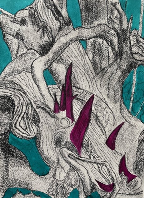‘Spiked’ 
- Compressed charcoal and inks on paper -