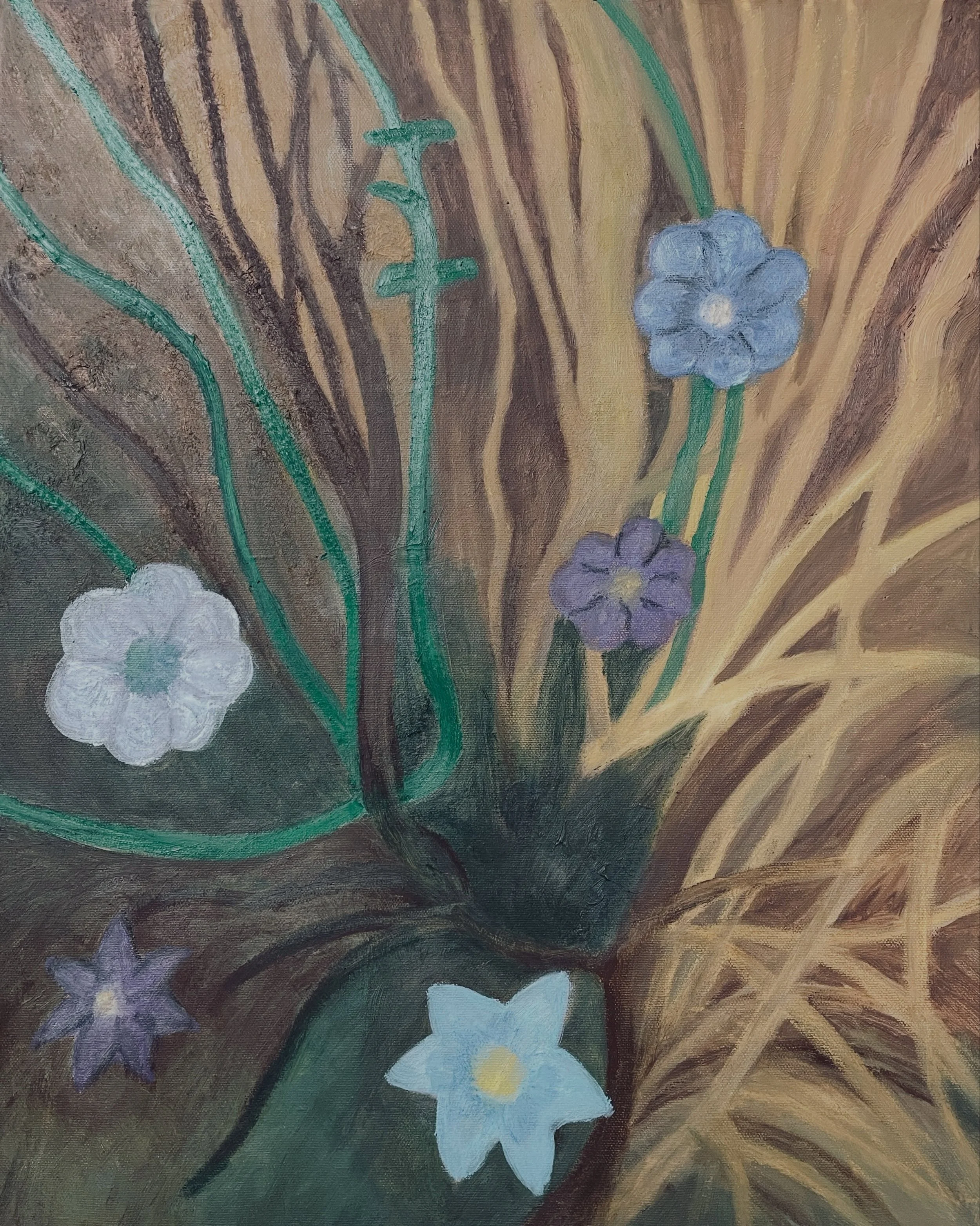 Pathside dry grass and wild flowers a few days ago&hellip;..