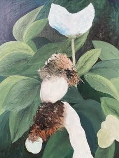 'Before the drought' 
Oil on canvas 
61 x 41 cms