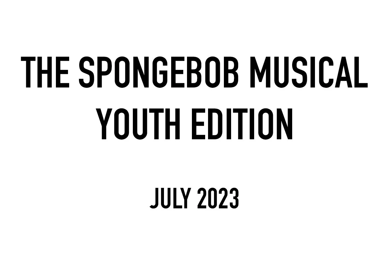 SPONGE NEW.jpg