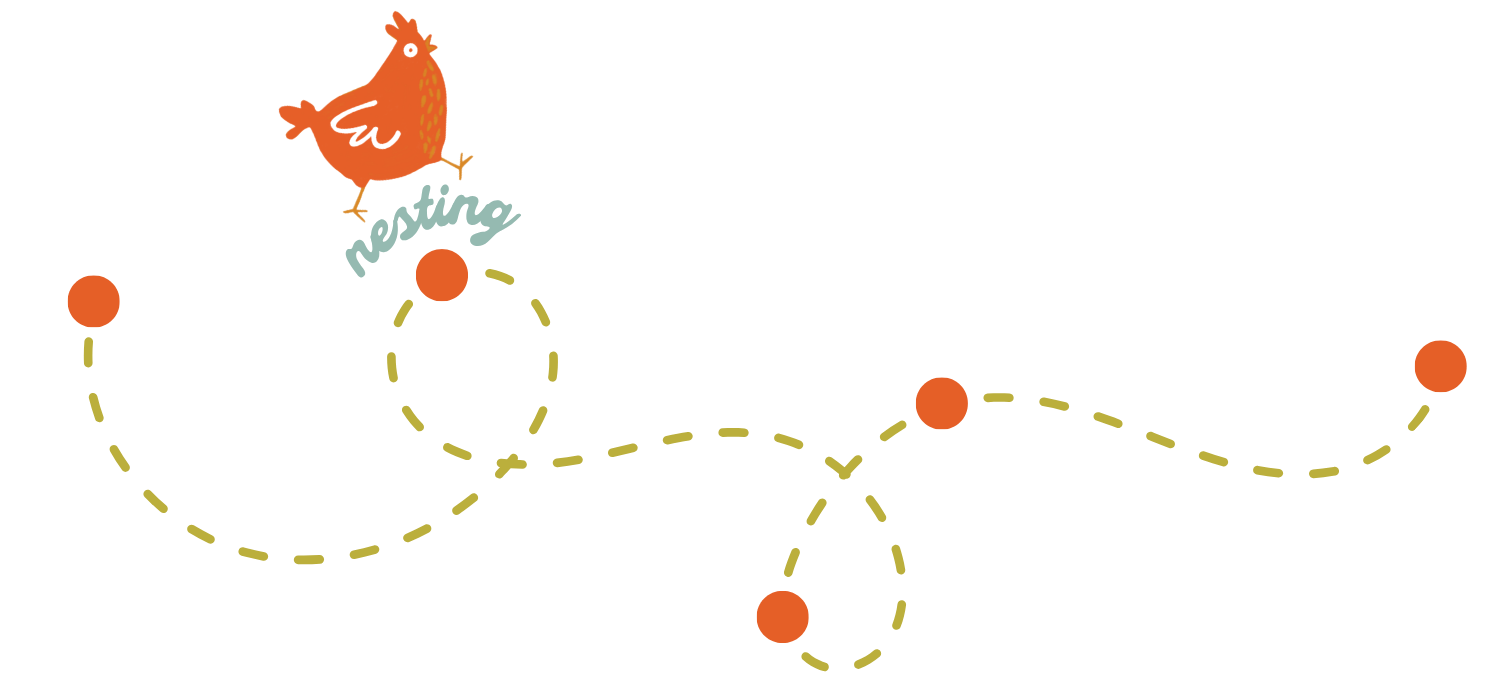 A playful illustration of a walking chicken on a dotted yellow path with the word "nesting" written next to it.