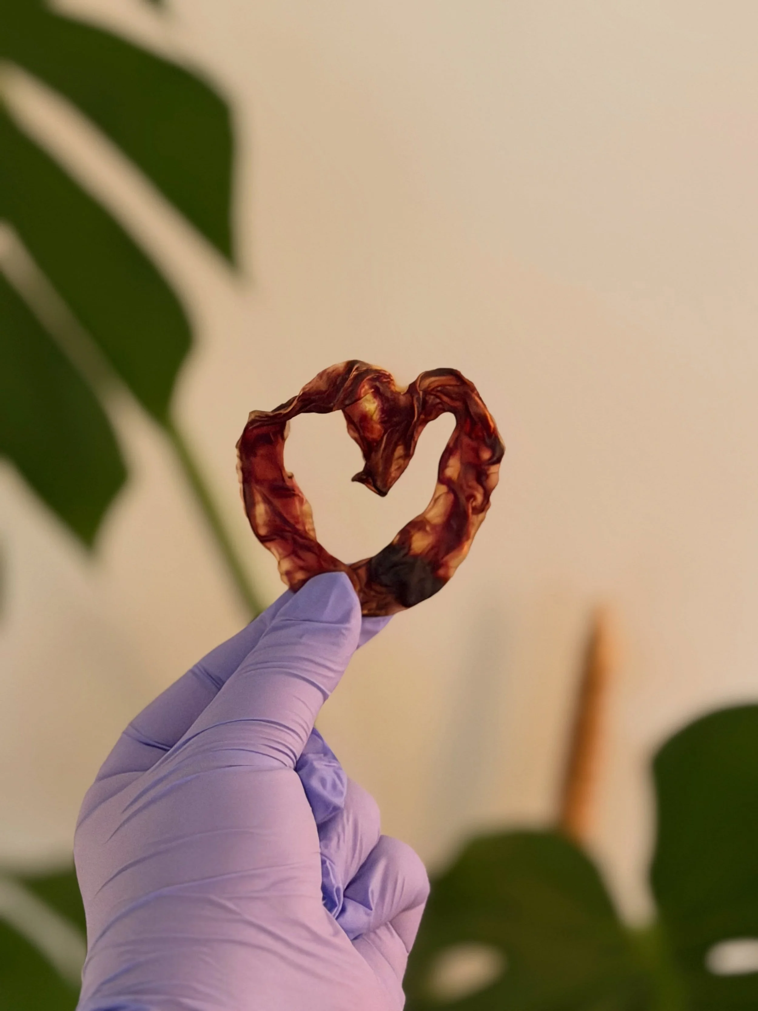 🎉New service drop🎉

I&rsquo;m now encapsulating placentas! If you are interested in encapsulation, preservation, and other ways to honor your placenta, drop a line and we can chat ⬇️