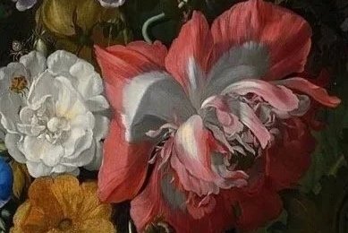 Close-up of a vibrant, multi-colored flower painted by Rachel Ruysch with red, pink, and gray petals, surrounded by other flowers.