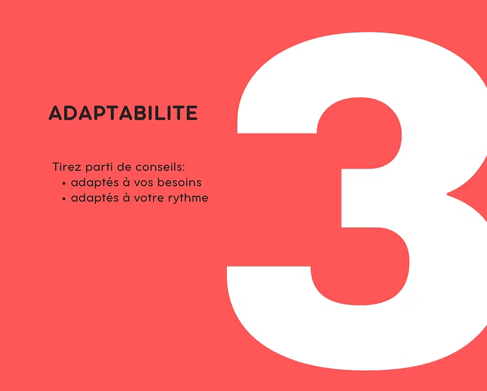 fiche de presentation du service de conseil en image avec la notion d'adaptabilité