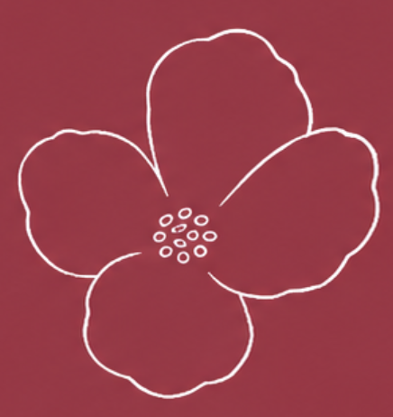 Une illustration simple d'une fleur avec cinq pétales et un centre composé de petits cercles, sur un fond rouge dégradé.