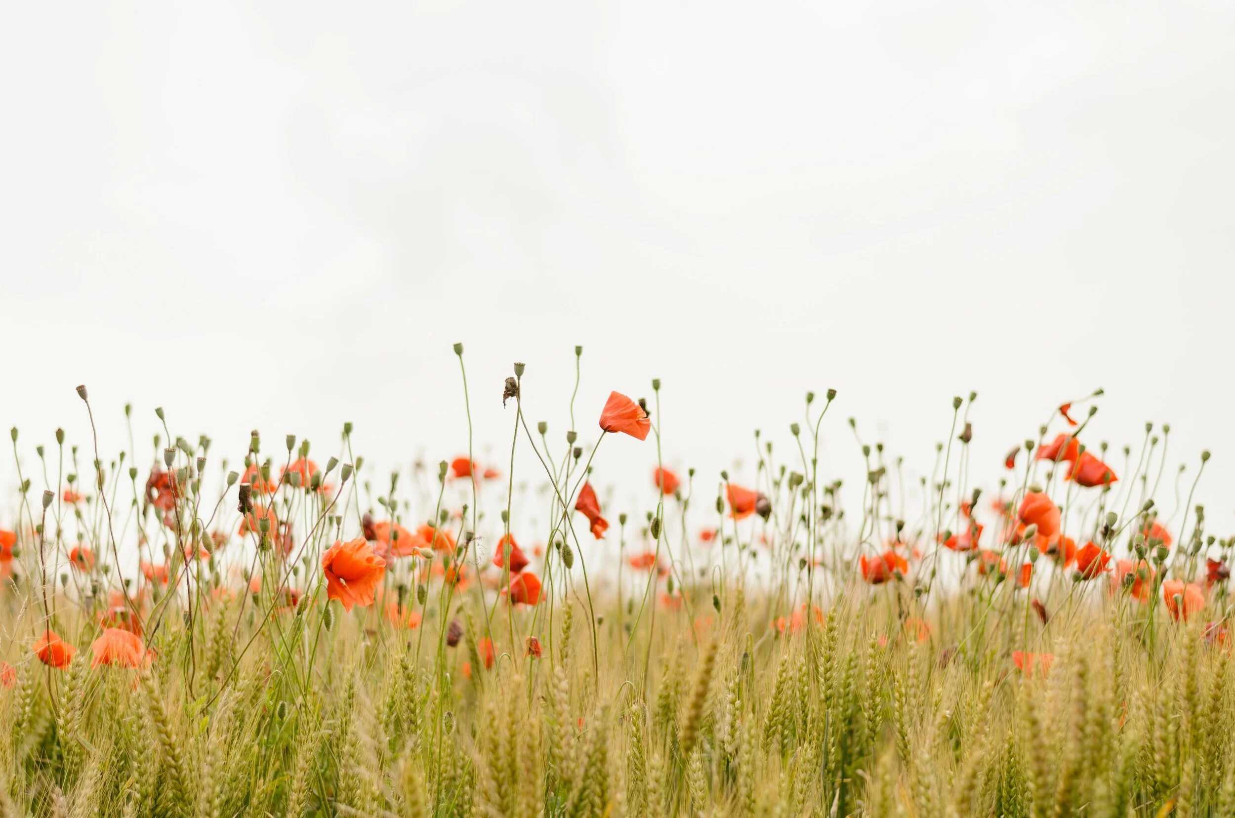 The Importance of Noticing Your Progress
