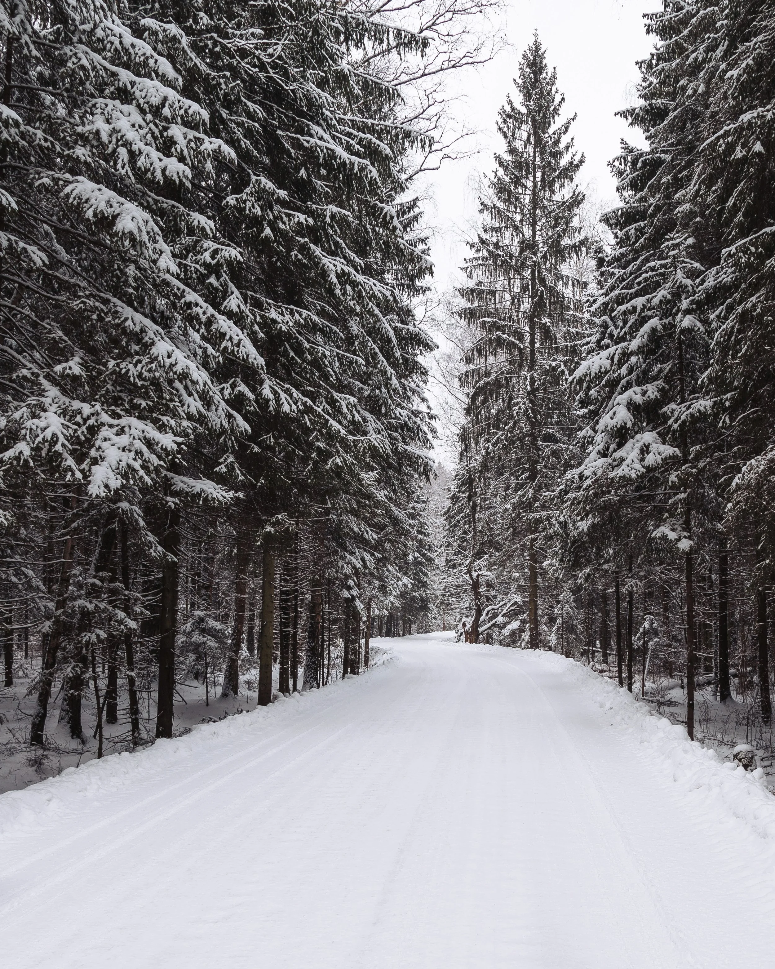 Identifying and Treating Seasonal Affective Disorder
