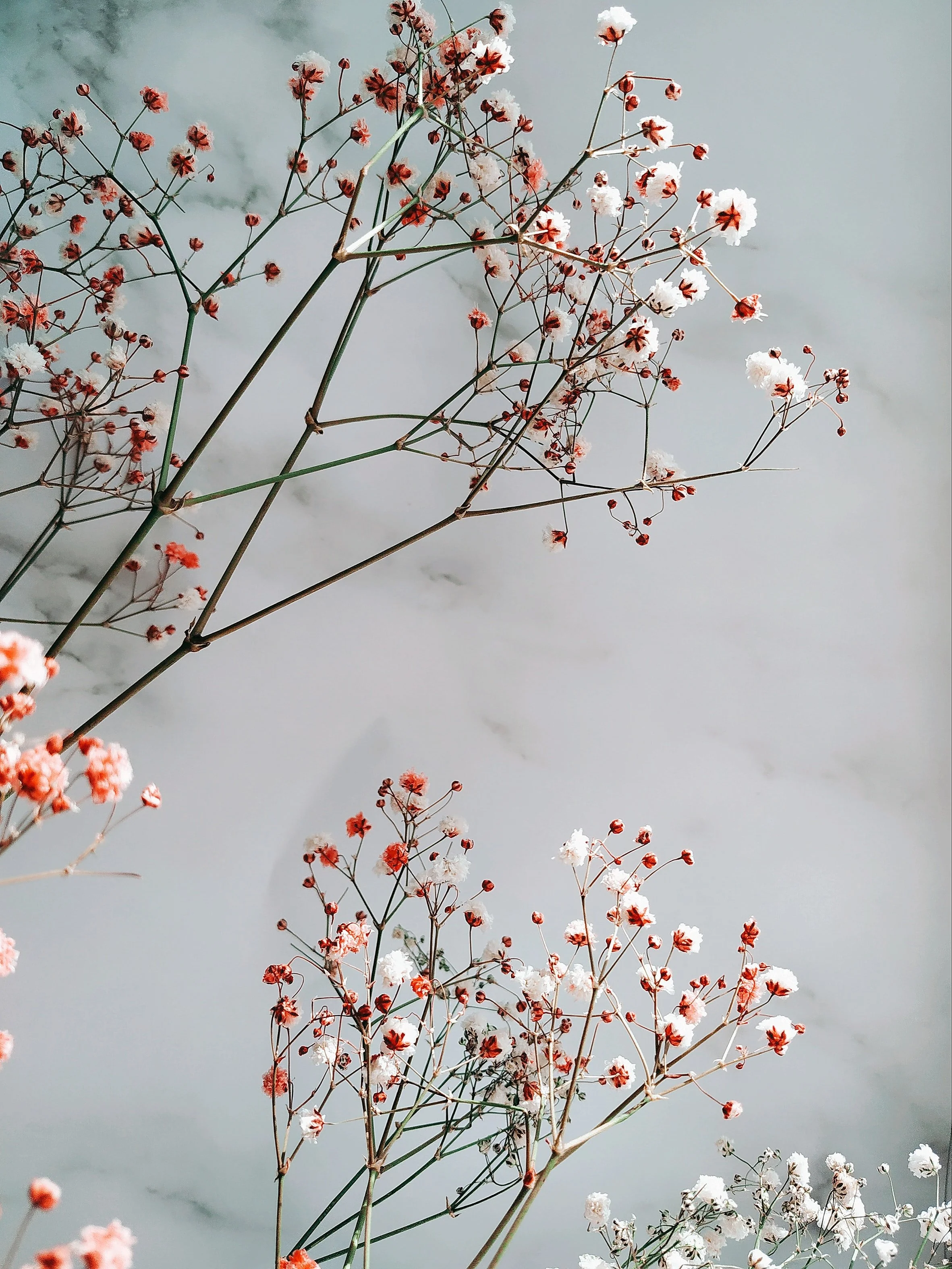 Practicing Self-Forgiveness
