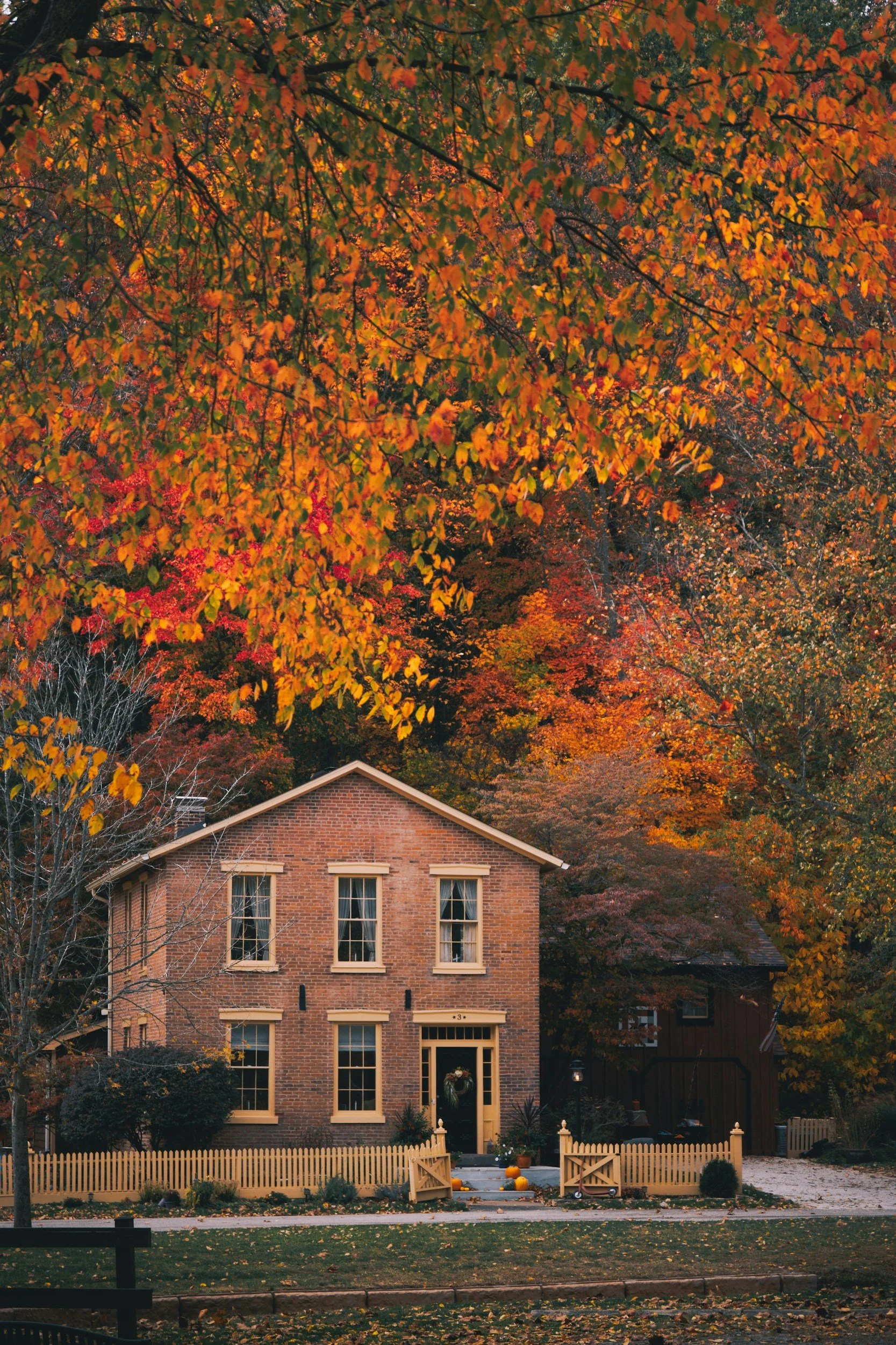 As the Leaves Turn: Cultivating Comfort in the Home