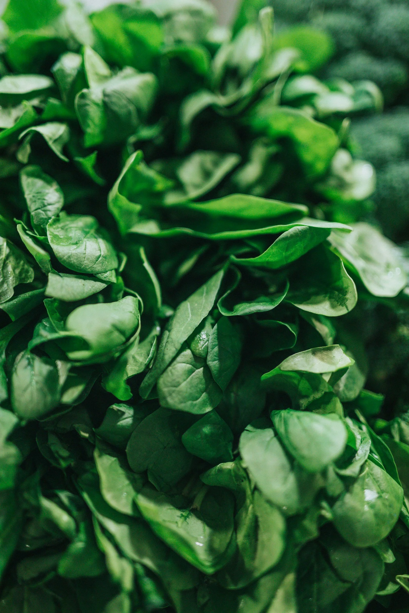 unsplash-image-m6DAgQyxjAo.jpg