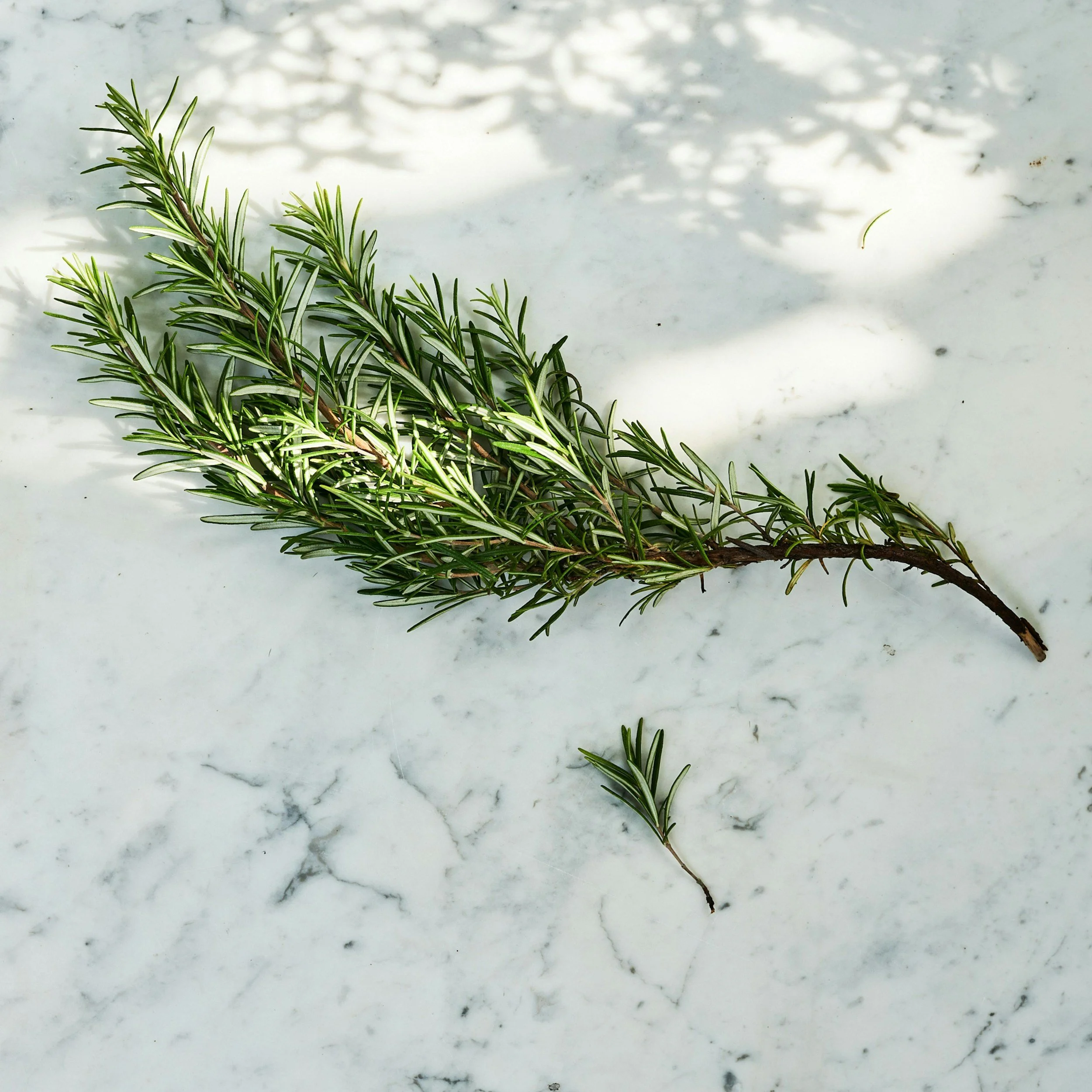 unsplash-image-bI2nTABGZkY.jpg