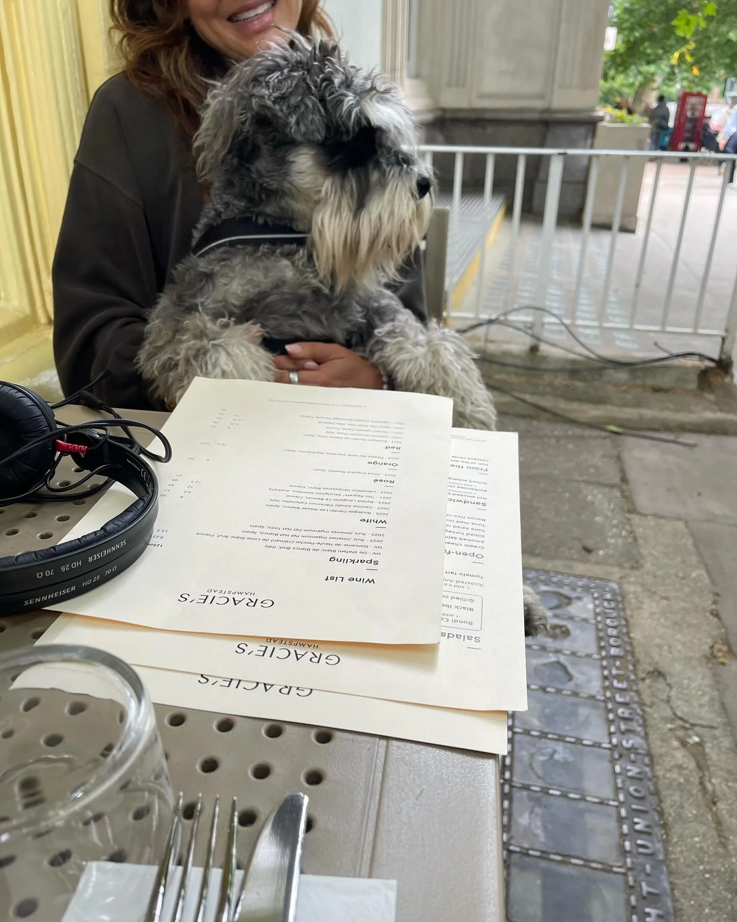 We had so many lovely guests today at Gracie&rsquo;s Hampstead. One was Sigmund Freud. Can you guess who this is?
.
.
.
#coffee #hampstead #newcafe #london #foodie #special_friend___  #hampsteadvillage #hampsteadcommunity #nw3
#dogs #dogsofhampstead 