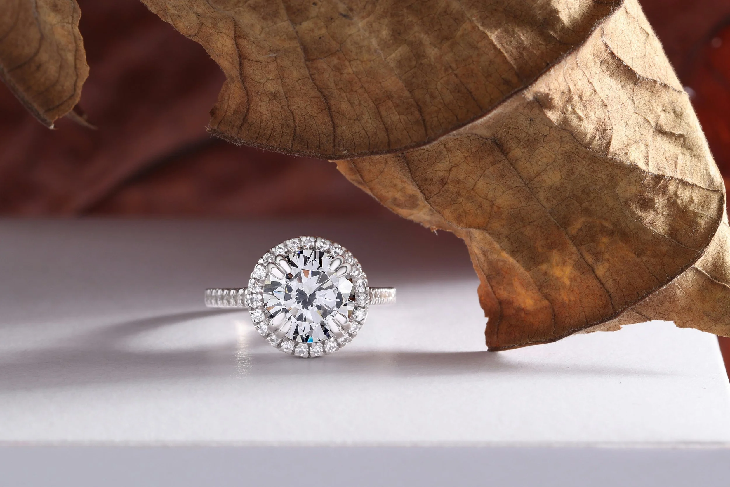 Close-up of a diamond engagement ring with a large central stone surrounded by smaller diamonds, placed under brown, dried leaves.