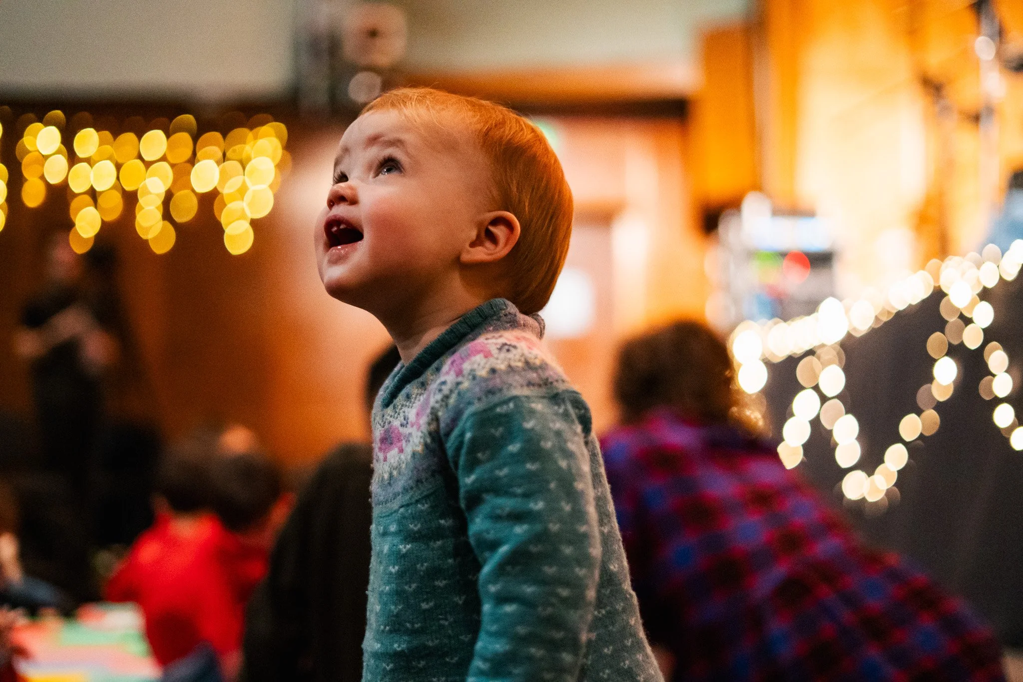 DSC08374.jpg