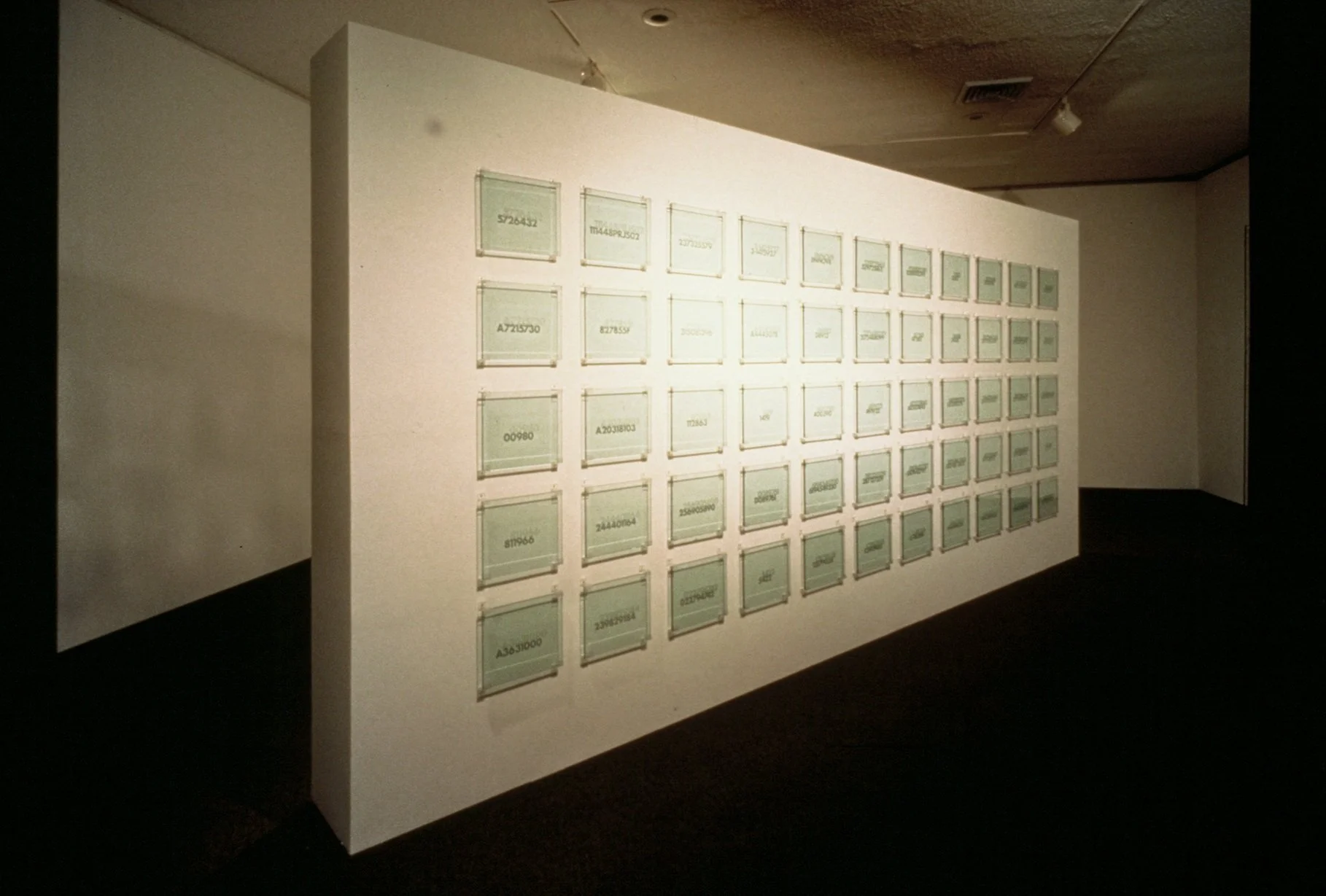 The Glass Wall#1.jpg
