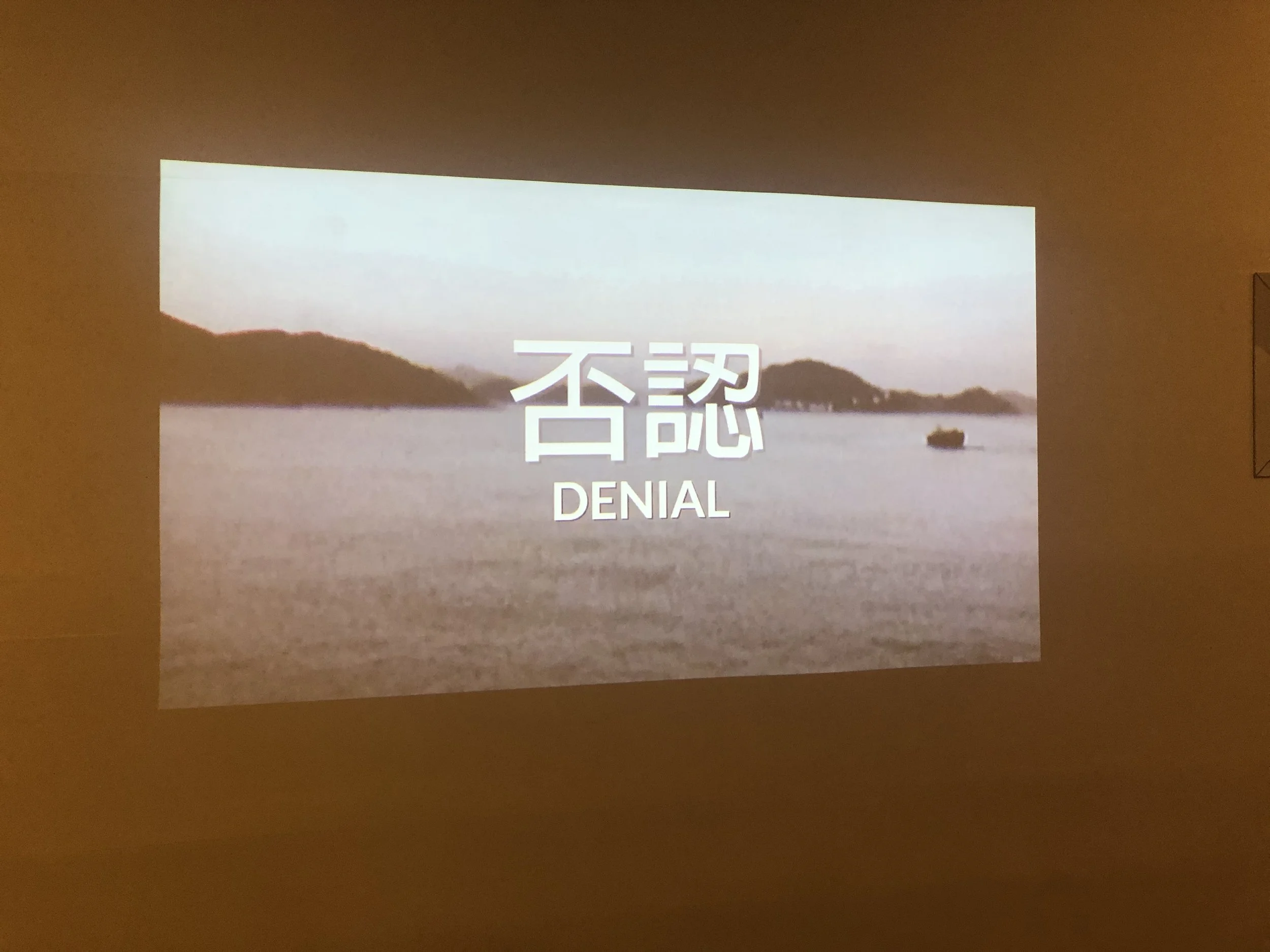 Denial_video projection.jpeg