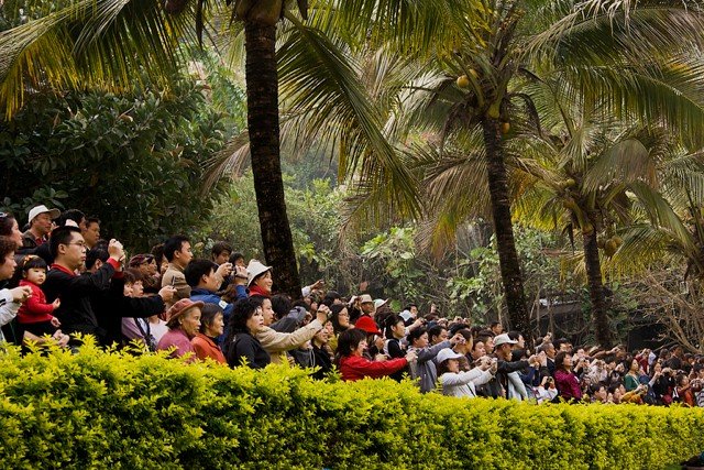 “Xishuangbanna” China 2008 Present Tense Biennial Chinese Culture Center