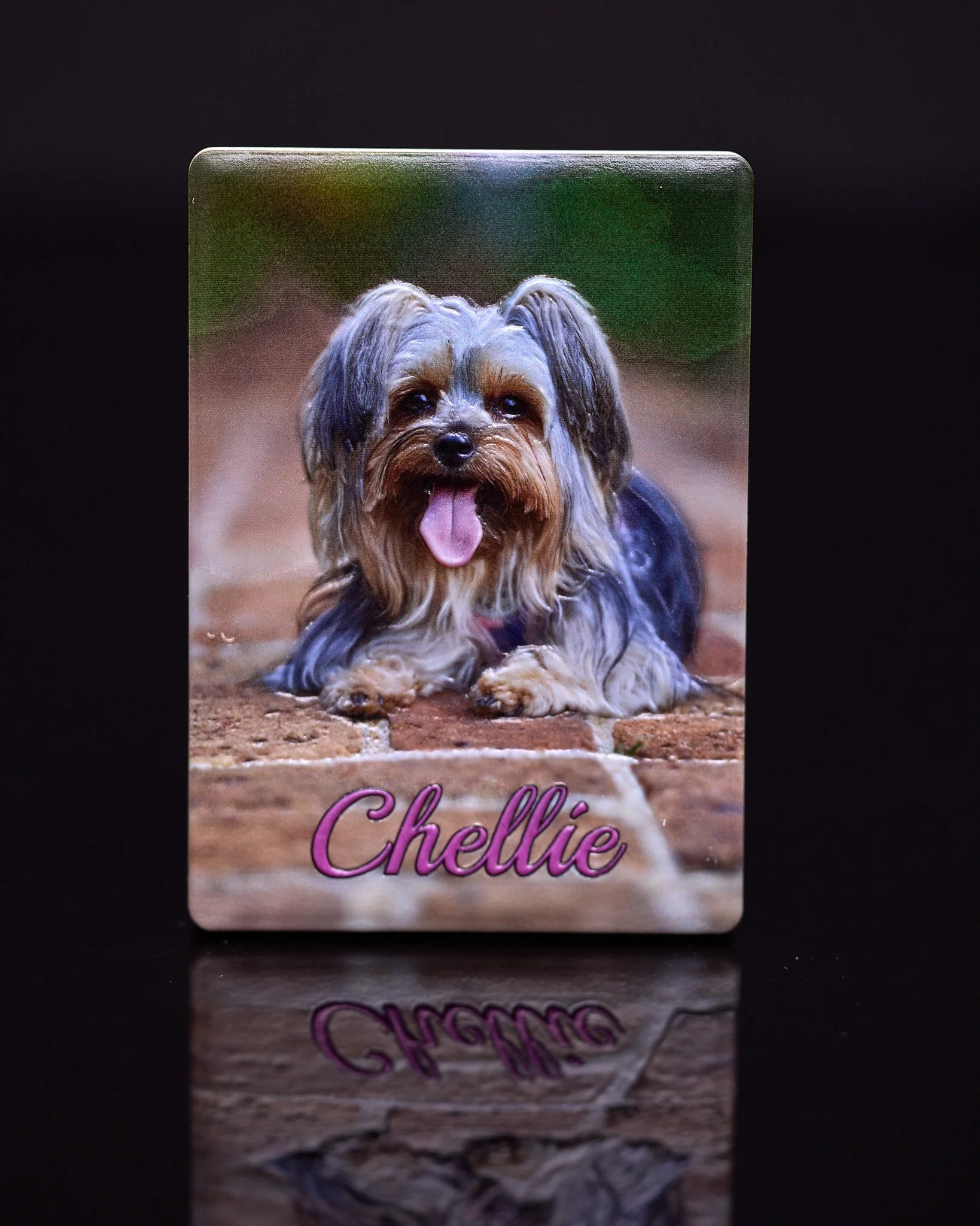 Chellie — a personalized pet photo keepsake.
